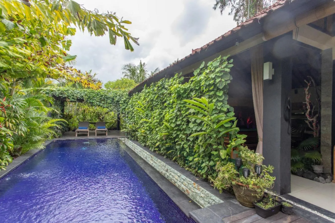 Pool view in Villa Latebra
