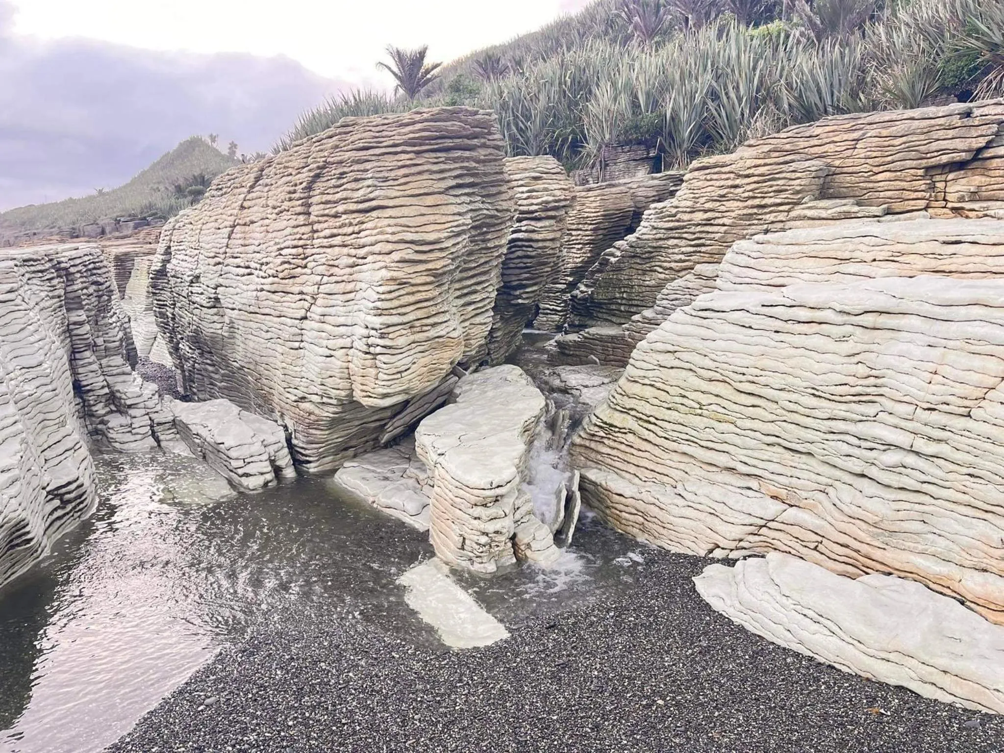 Natural landscape in Scenic Hotel Punakaiki