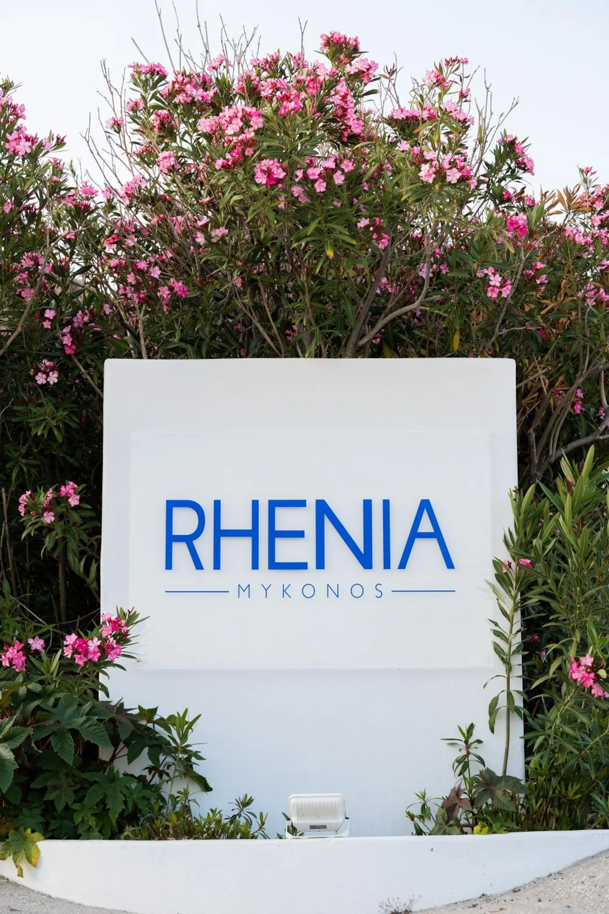 Rhenia Hotel