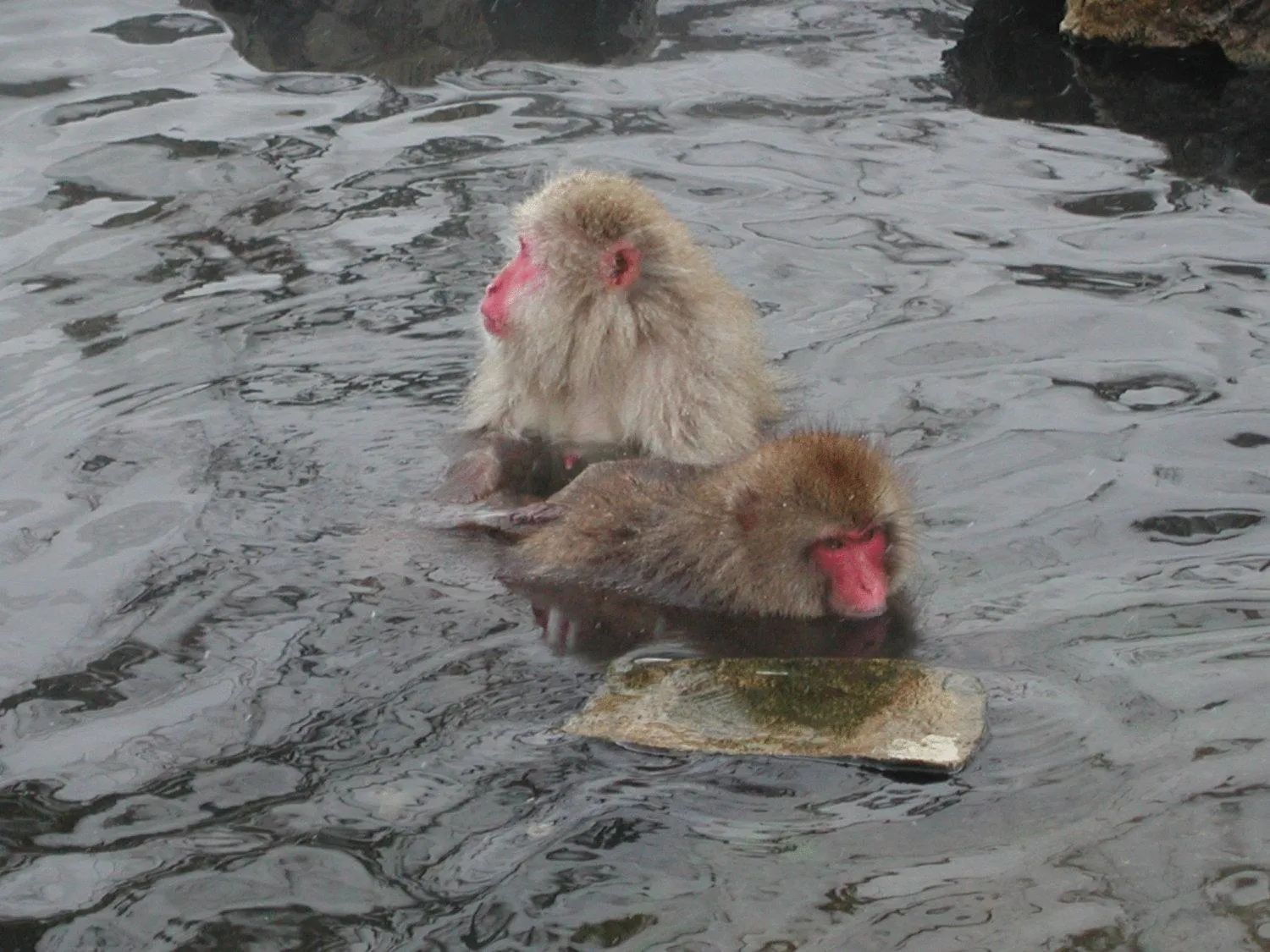 Other in Uotoshi Ryokan