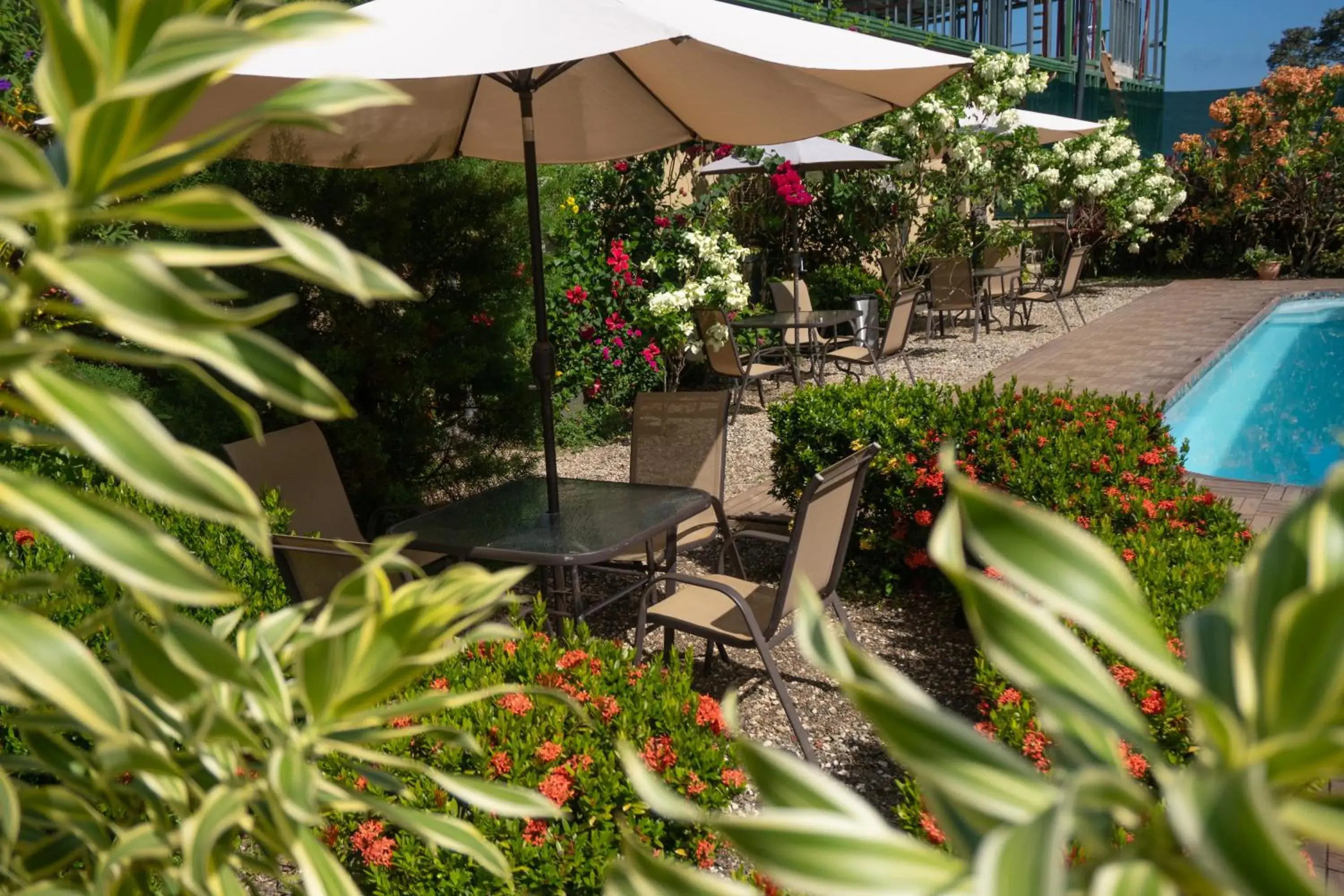 Hotel Margarita and Tour Operator Drake Bay Hotel Margarita and Tour Operator Drake Bay