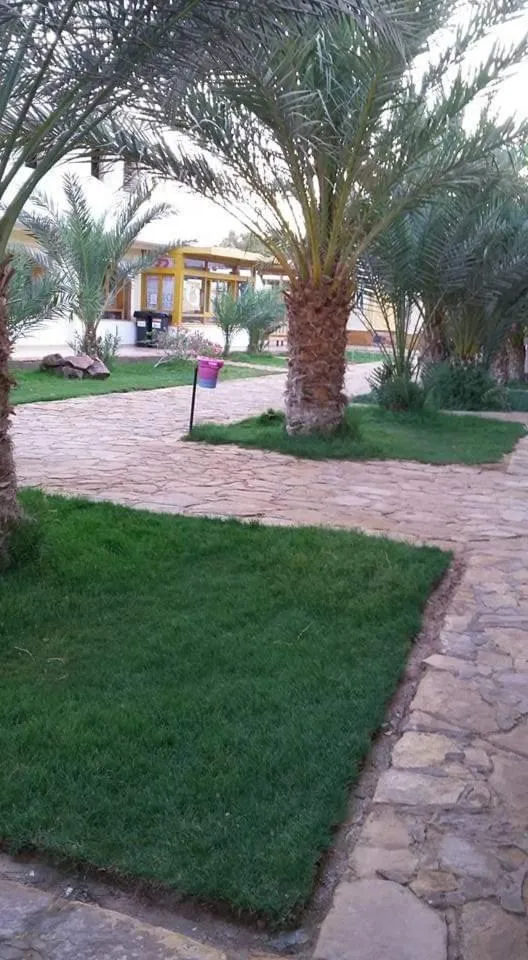 Garden in Jowhara Hotel