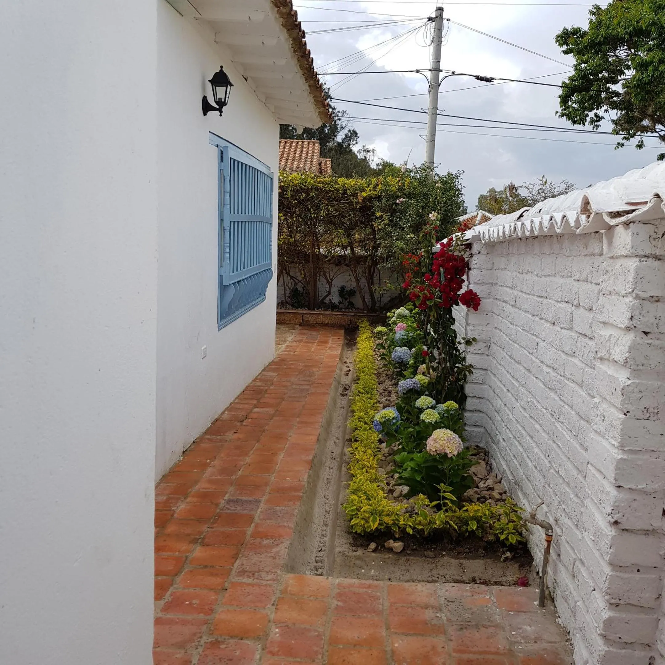 Garden in HOTEL BOUTIQUE Santa Helena