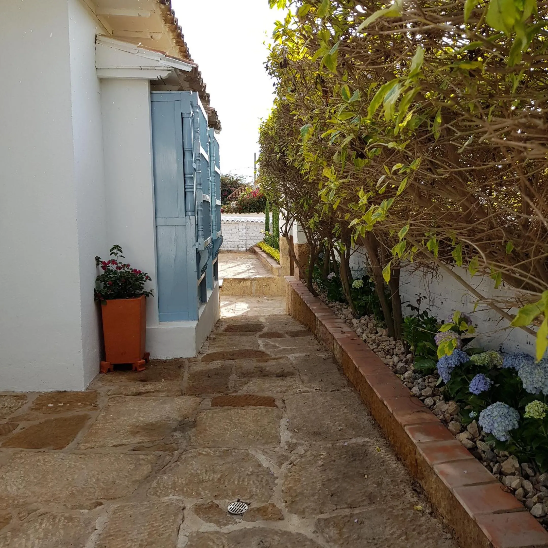 Other in HOTEL BOUTIQUE Santa Helena
