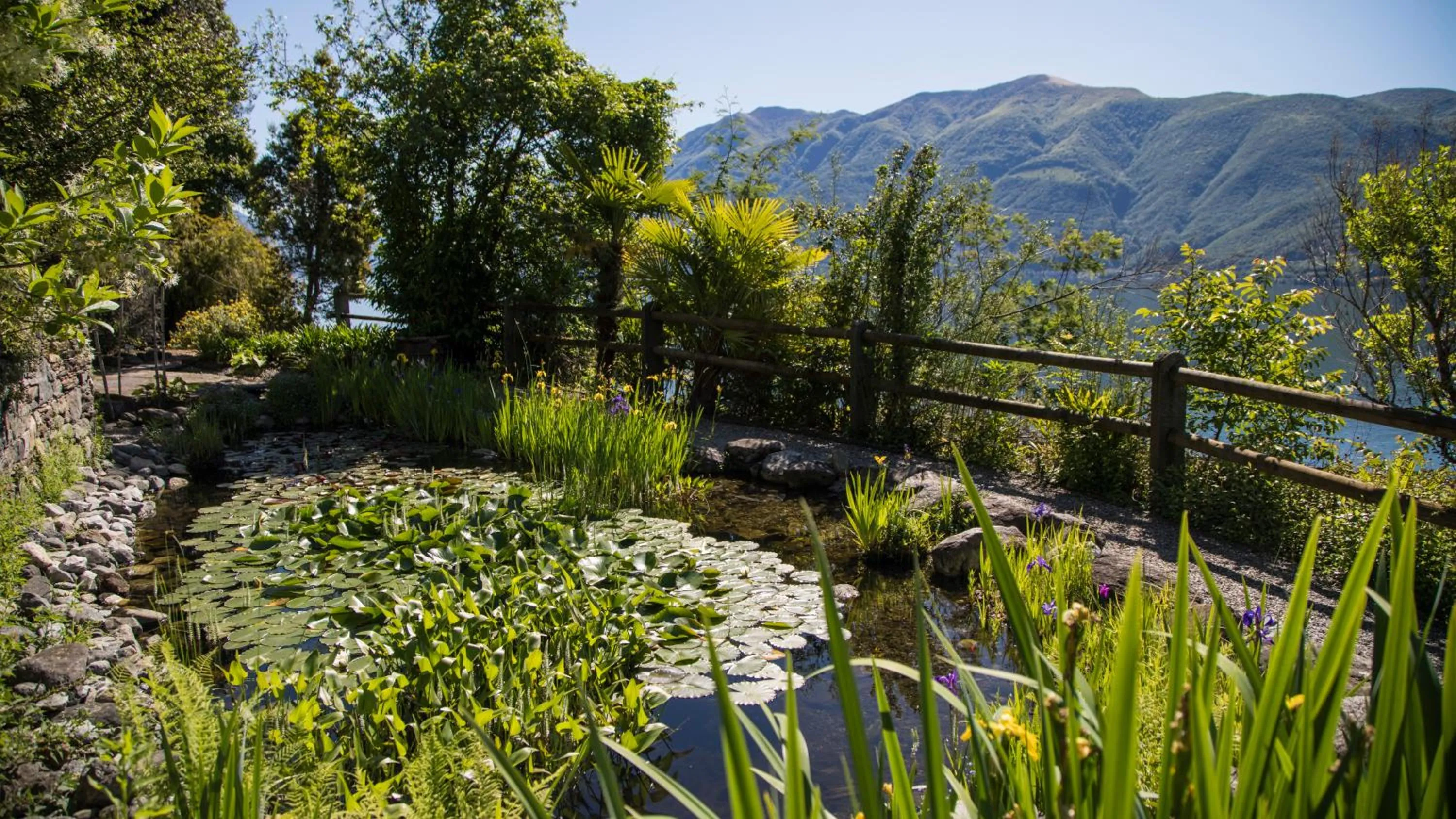 Garden in Parkhotel Brenscino Brissago
