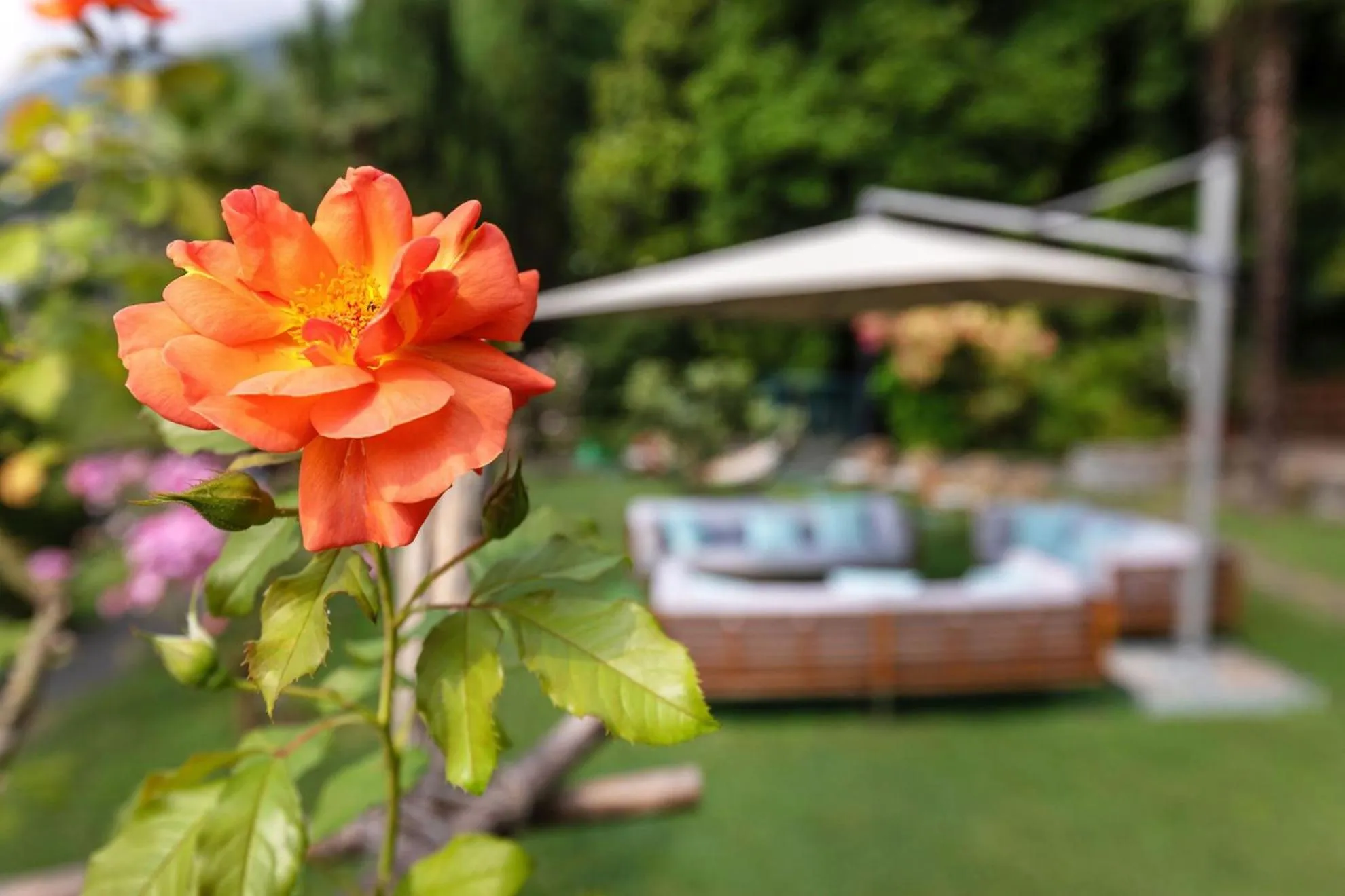 Garden in Parkhotel Brenscino Brissago