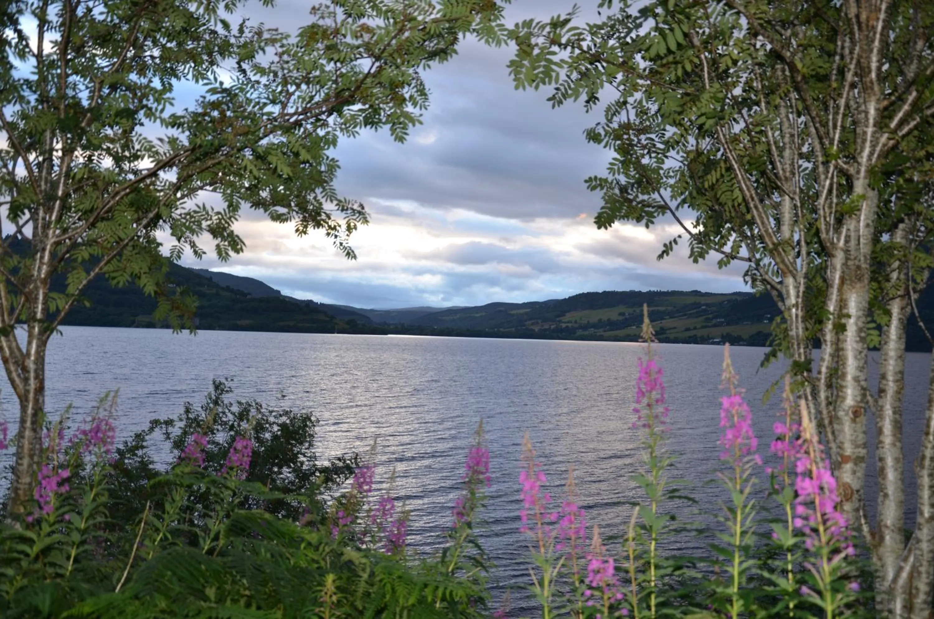 Nearby landmark in Averon House