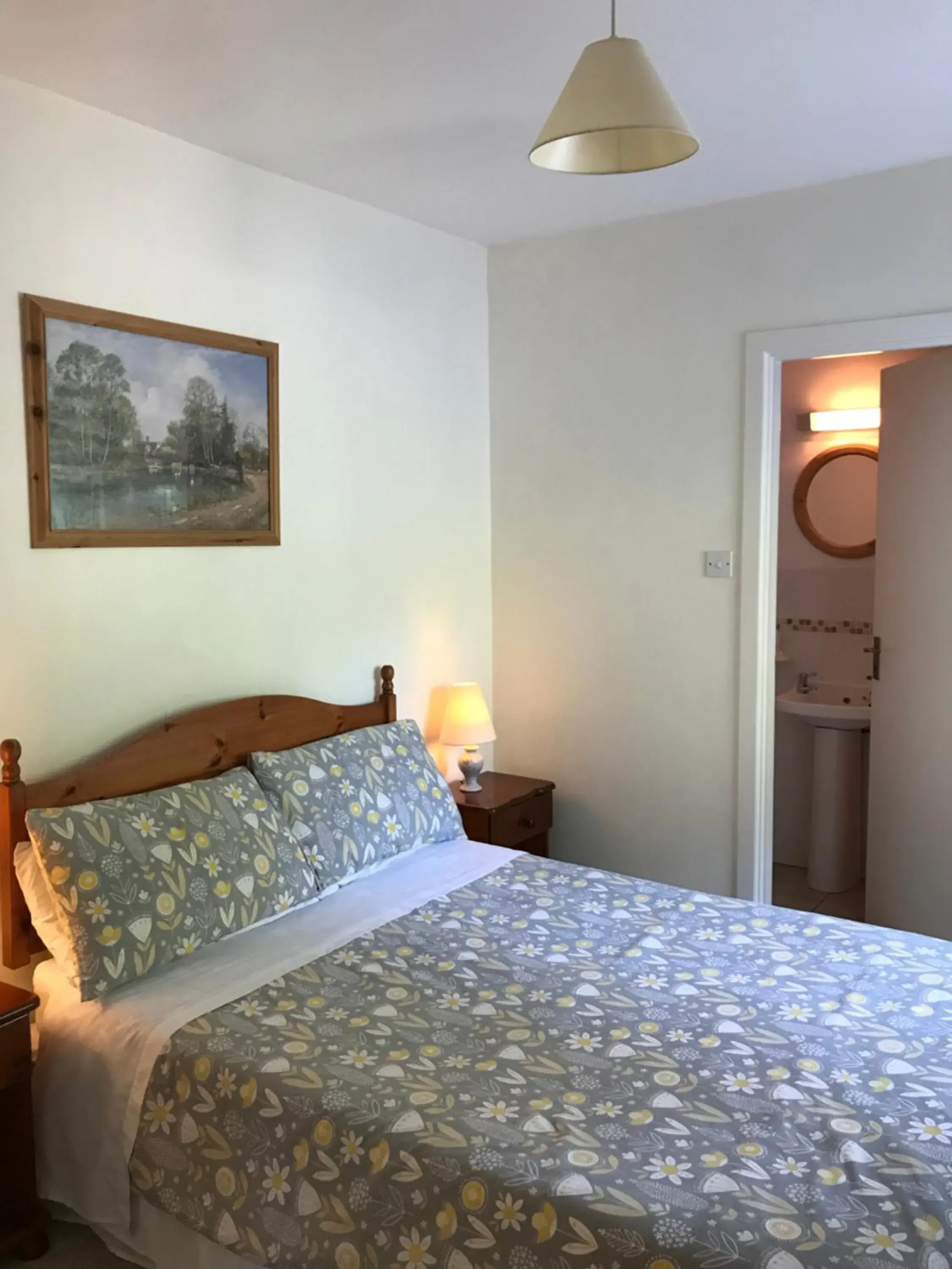 Double Room - single occupancy in The Bridges Bed and Breakfast Double Room - single occupancy in The Bridges Bed and Breakfast