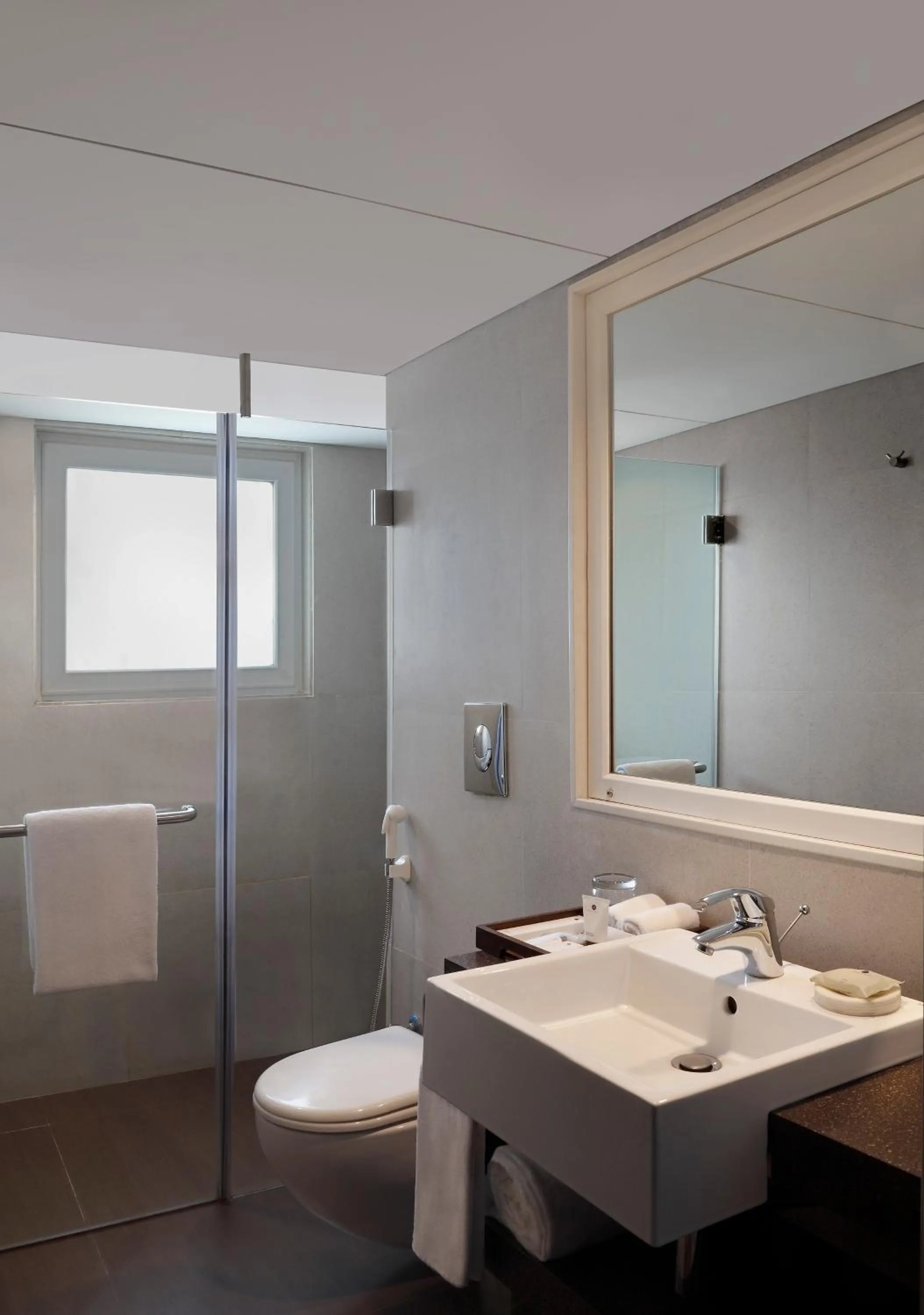 Toilet in Grand Mercure Vadodara Surya Palace