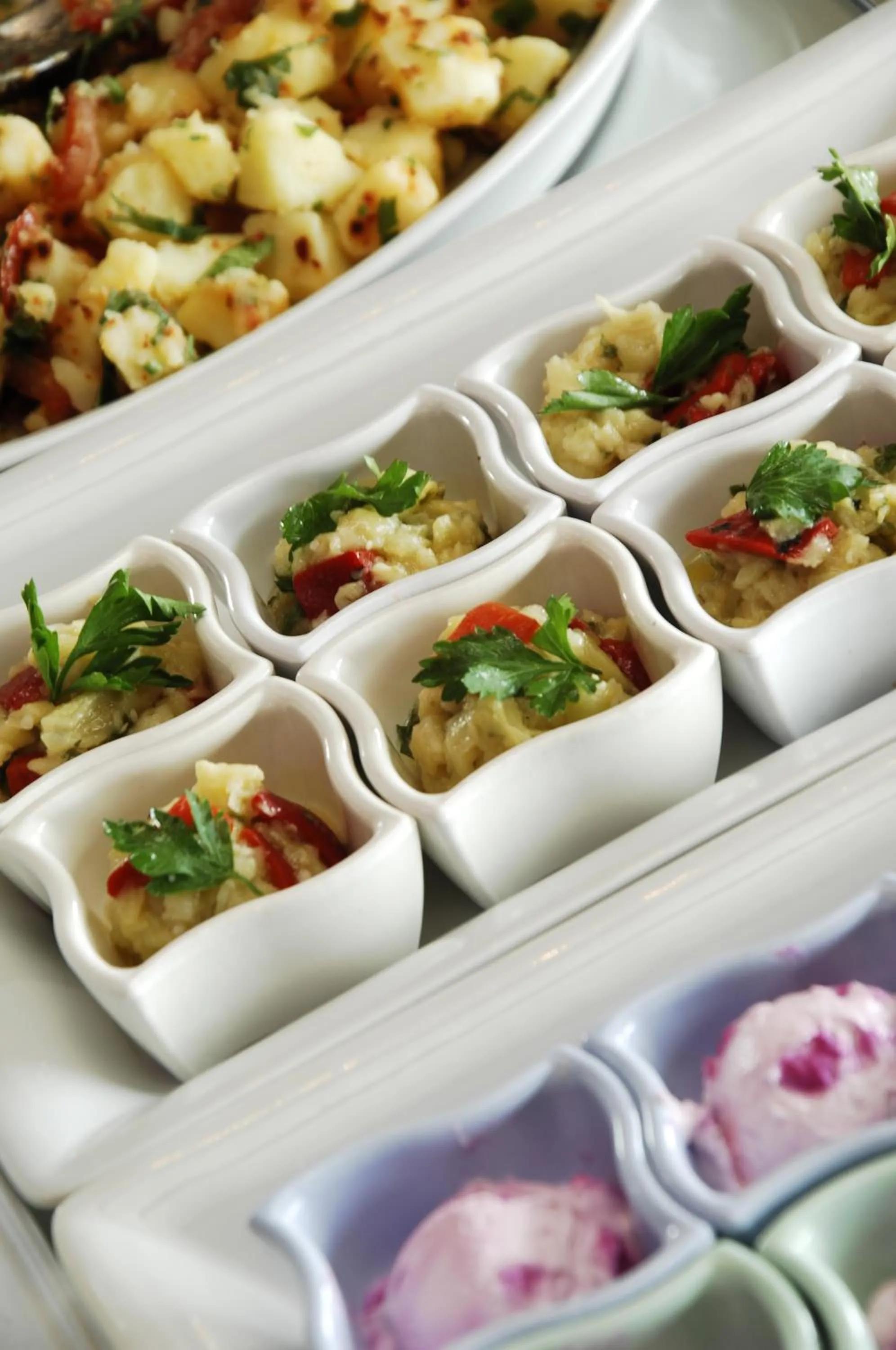 Food and drinks in Hotel Monec