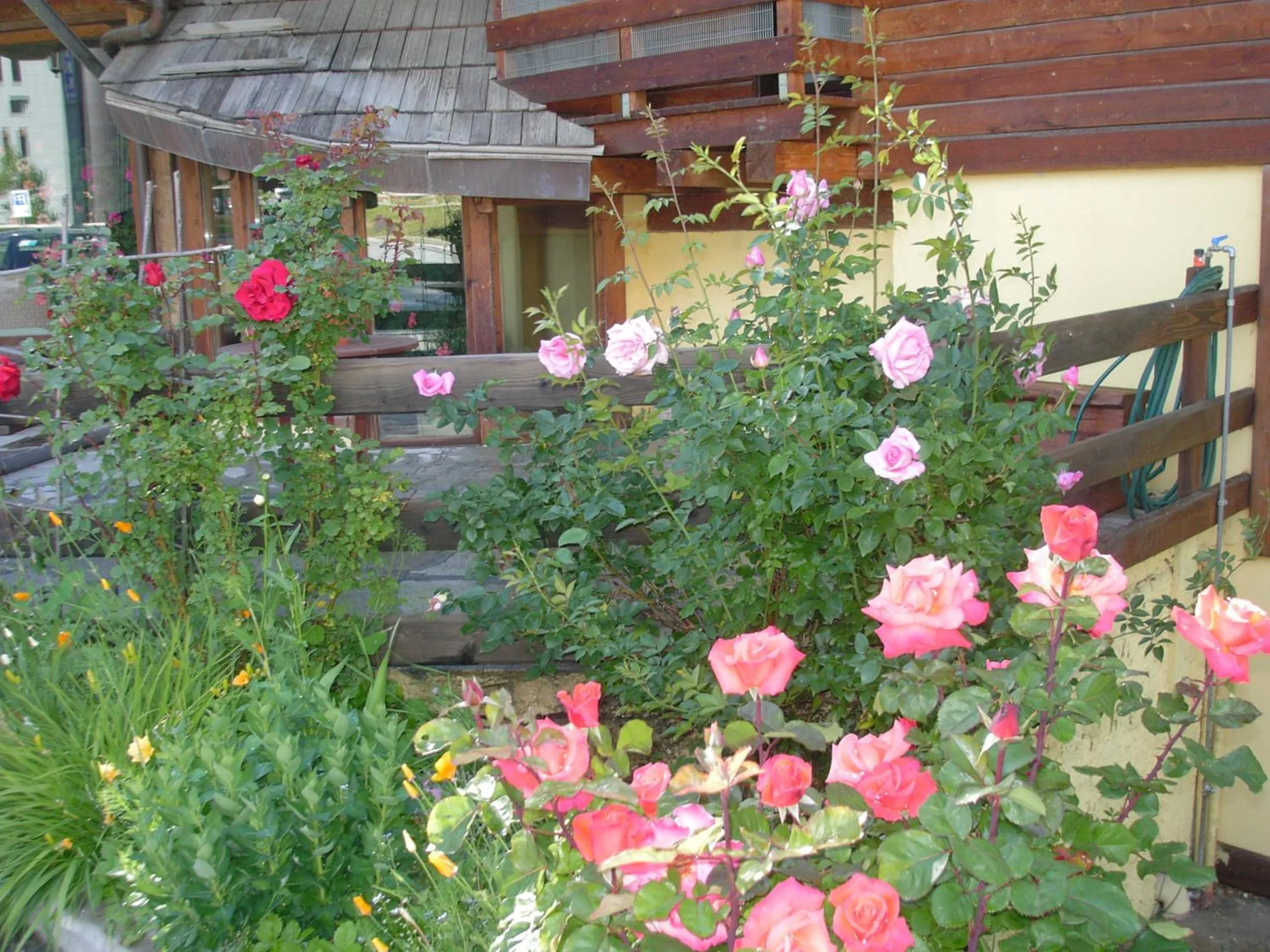 Garden in Hotel Cà Fiore