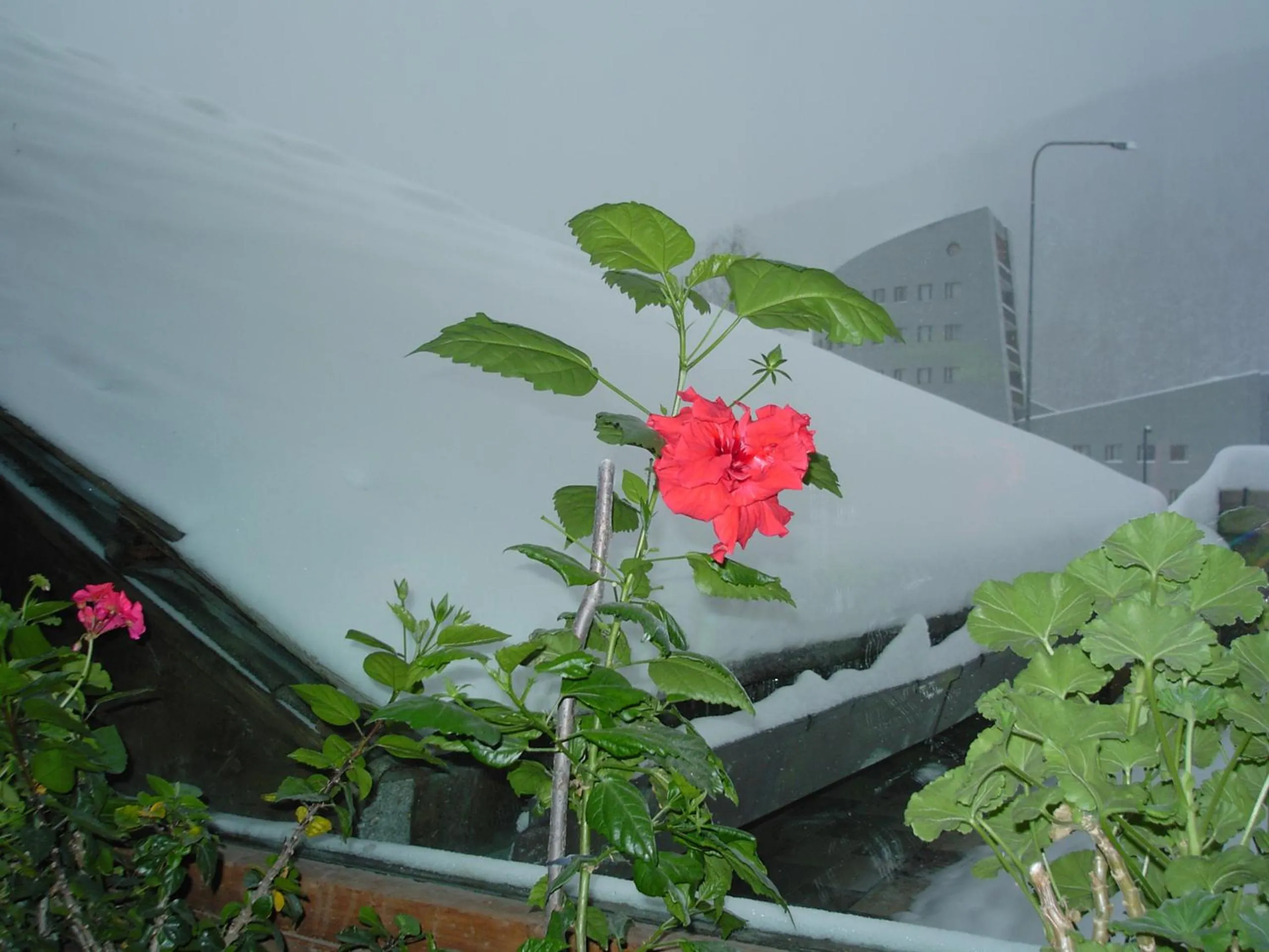 Mountain view in Hotel Cà Fiore