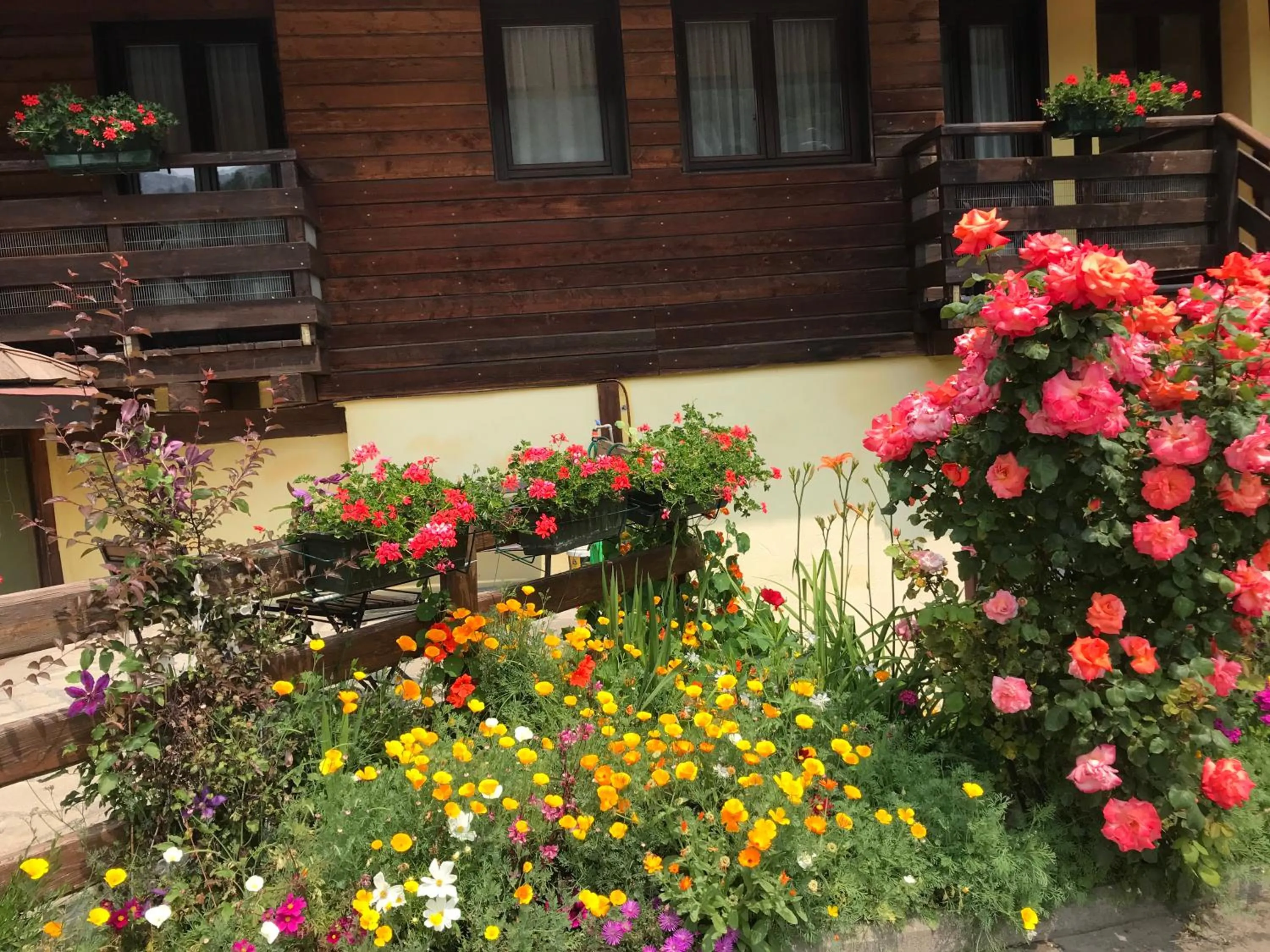 Garden in Hotel Cà Fiore