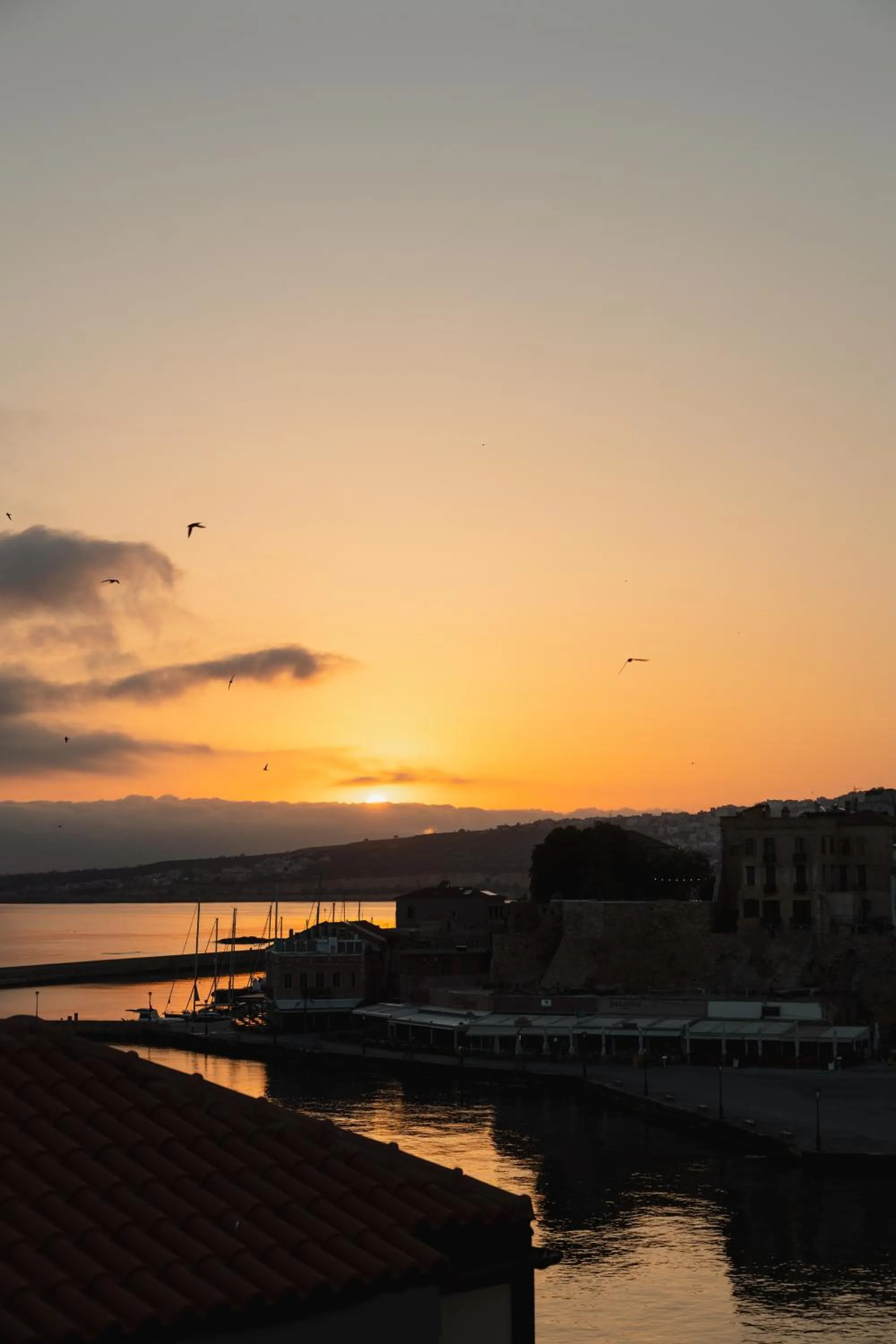 Casa Delfino Hotel & Spa