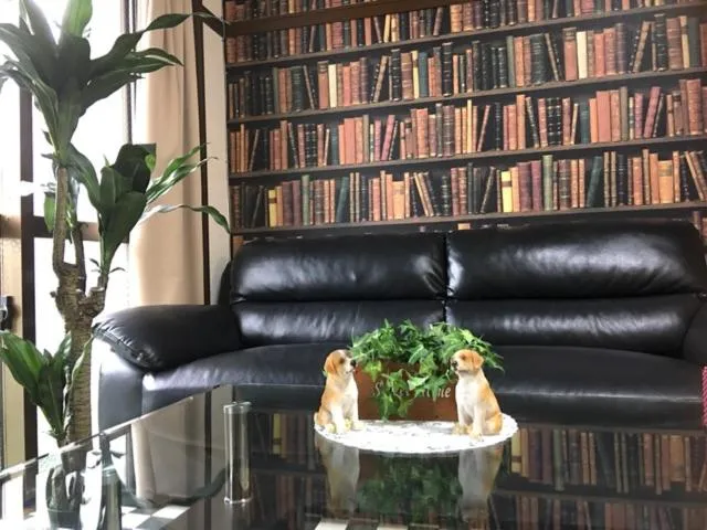 Cozy Family room KY apartment