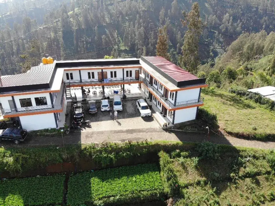 Double Room in Bromo Backpacker Tosari Double Room in Bromo Backpacker Tosari