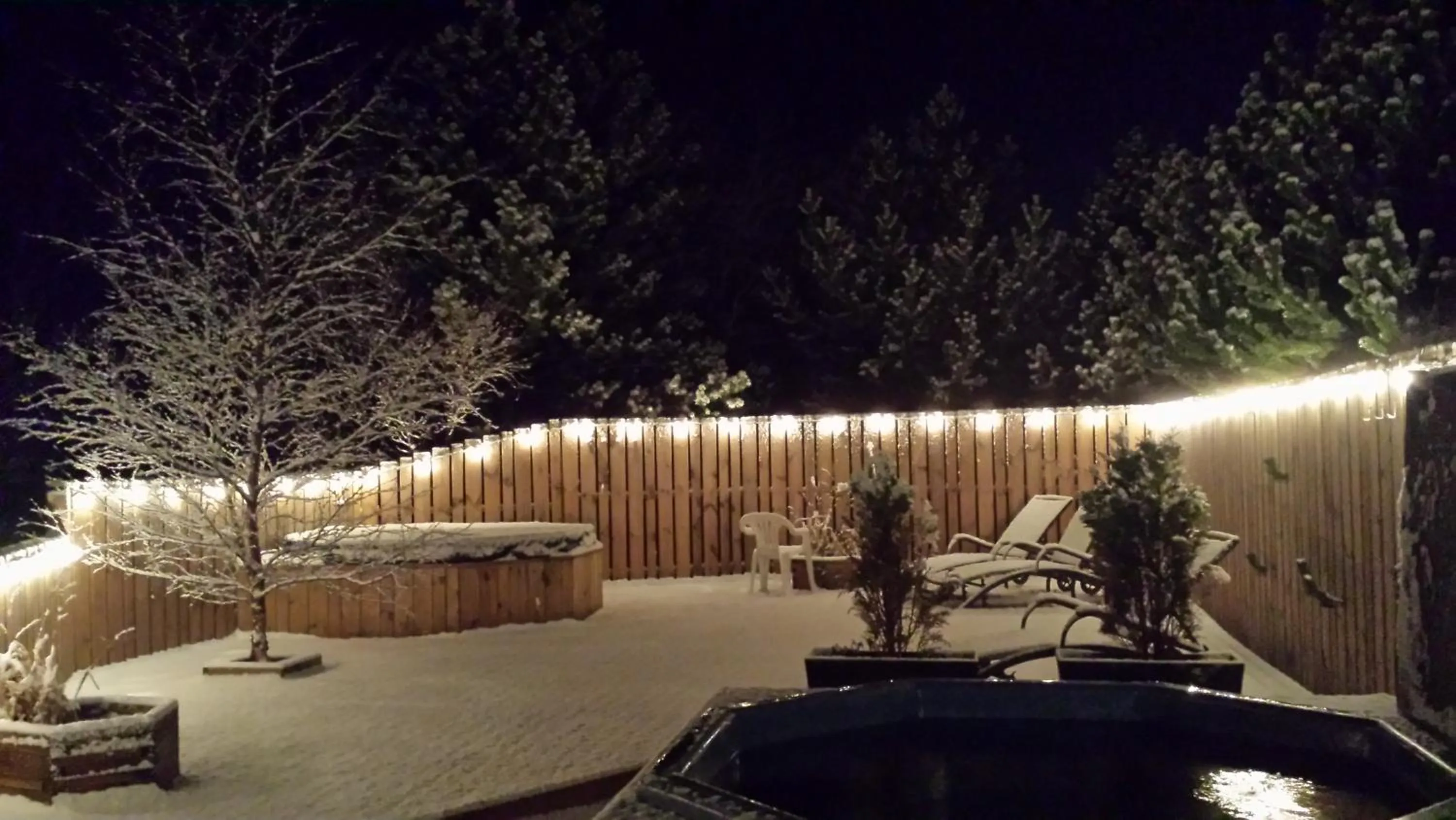 Winter in Gesthus Selfoss