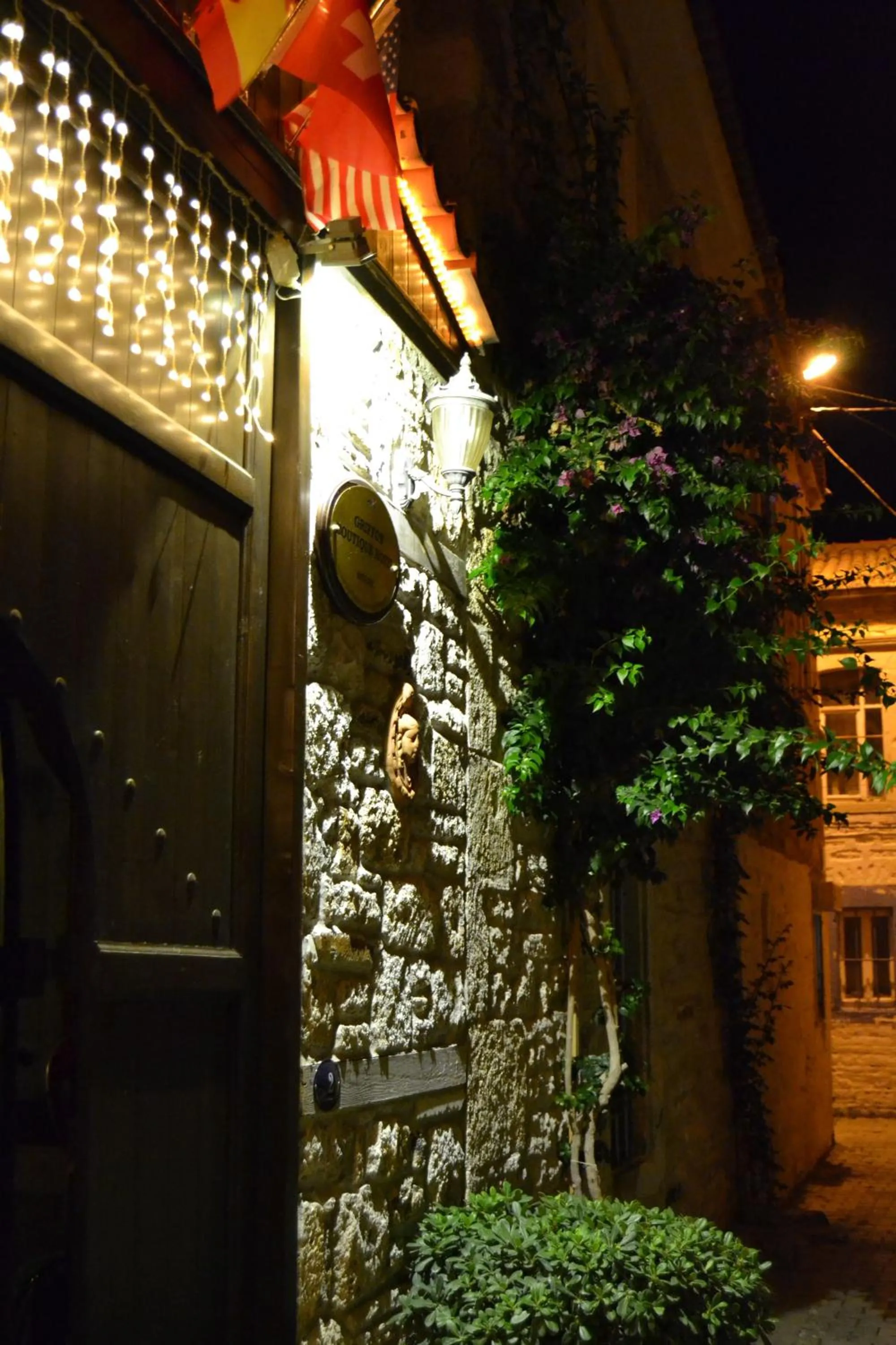 Property building in Griffon Hotel