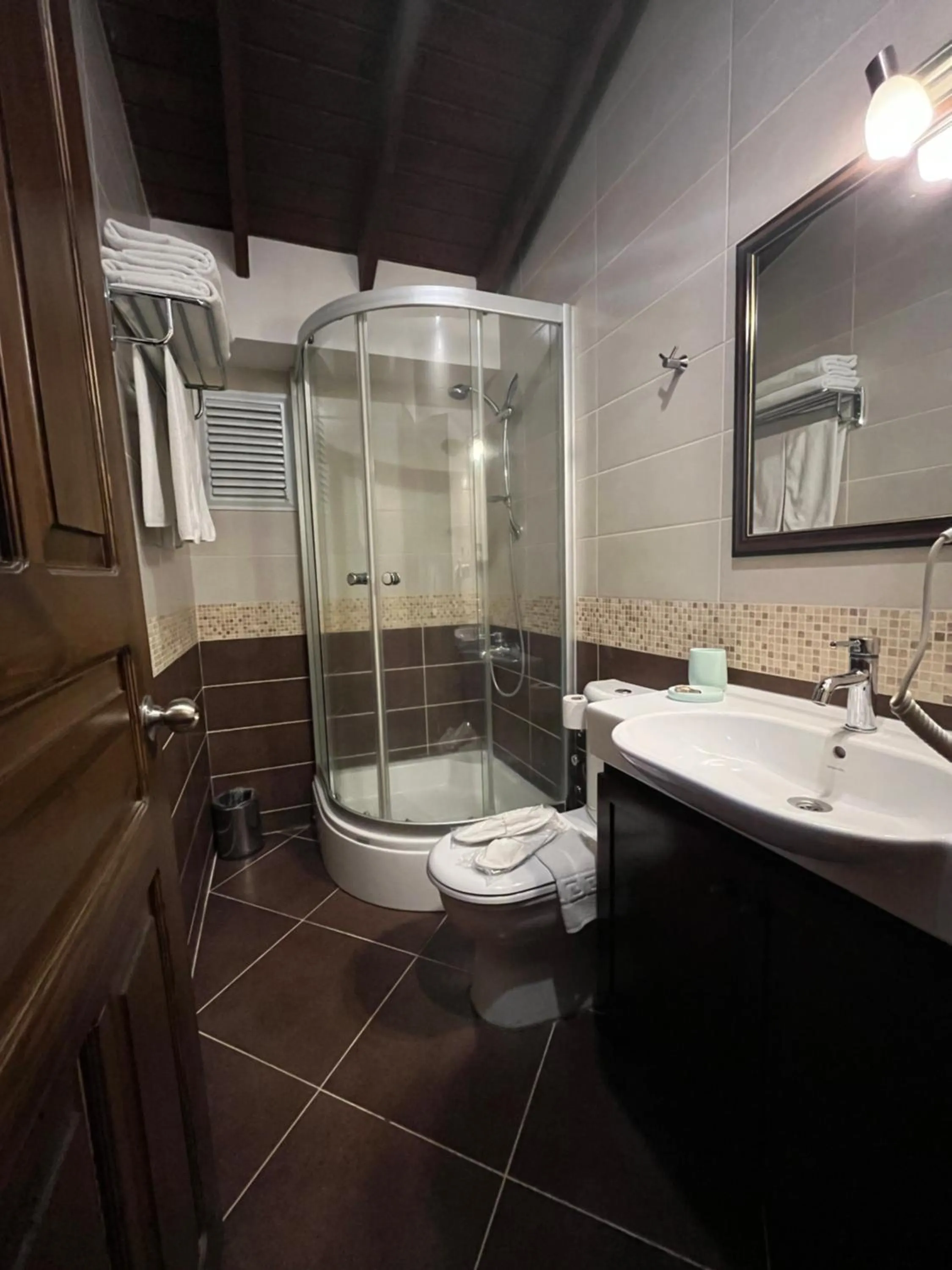 Shower in Griffon Hotel