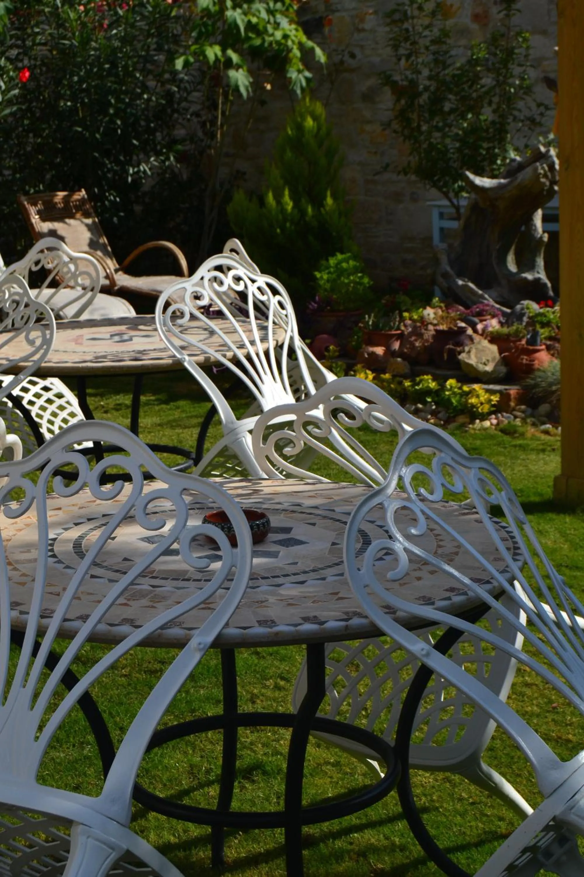 Garden in Griffon Hotel