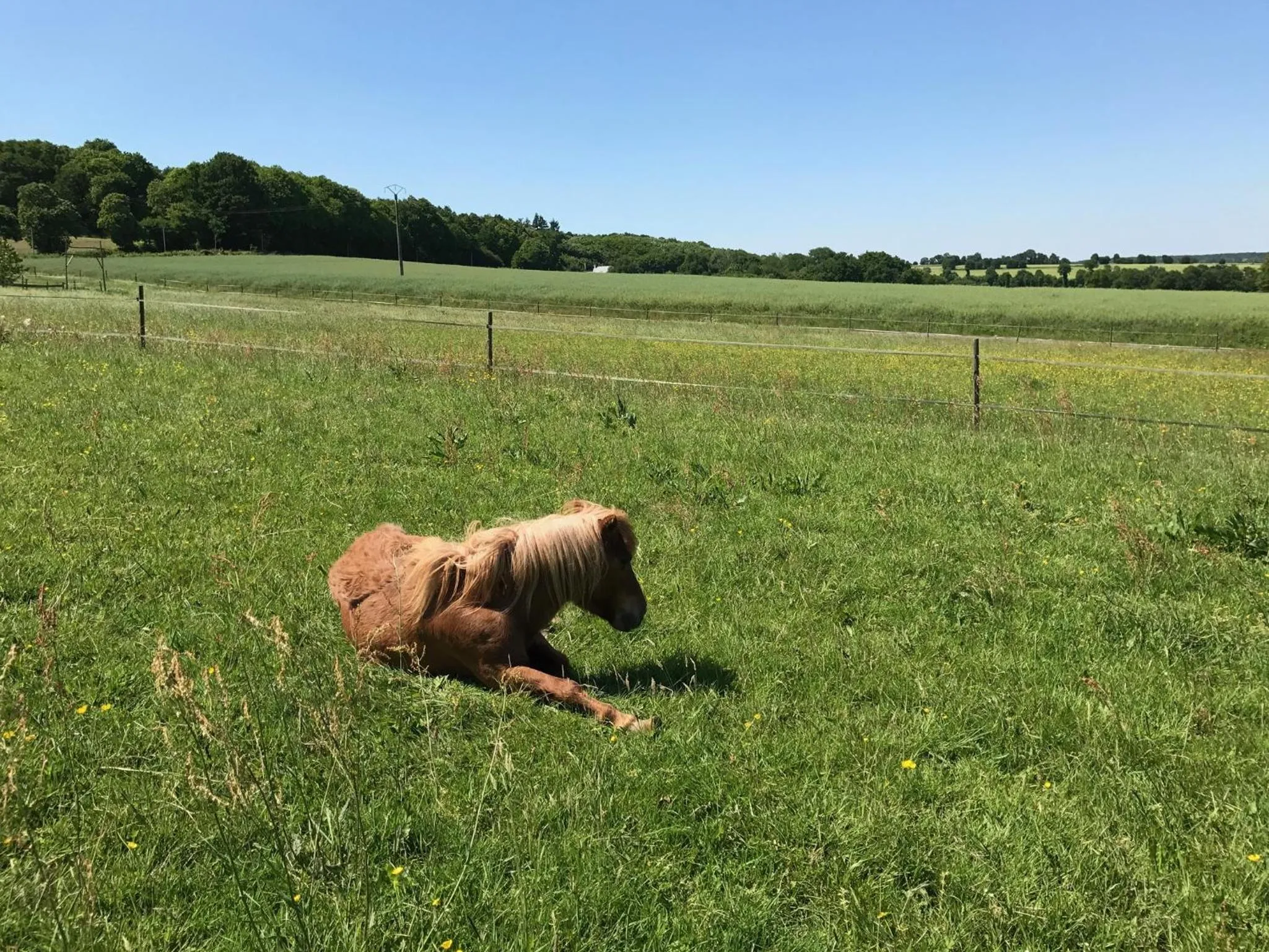 Property building in Les Bouyeres