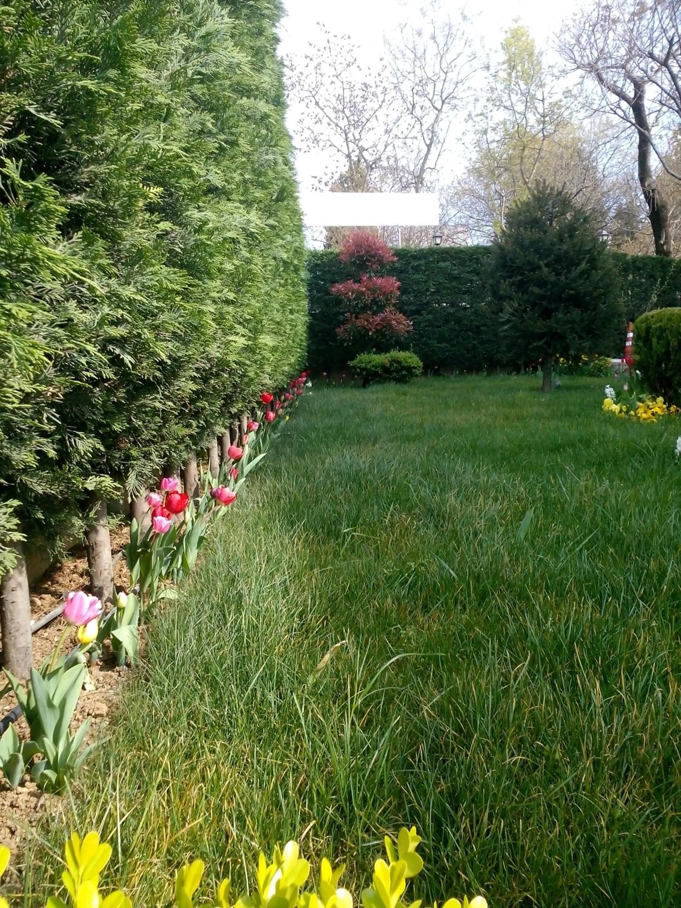 Garden in Pendik Marine Hotel