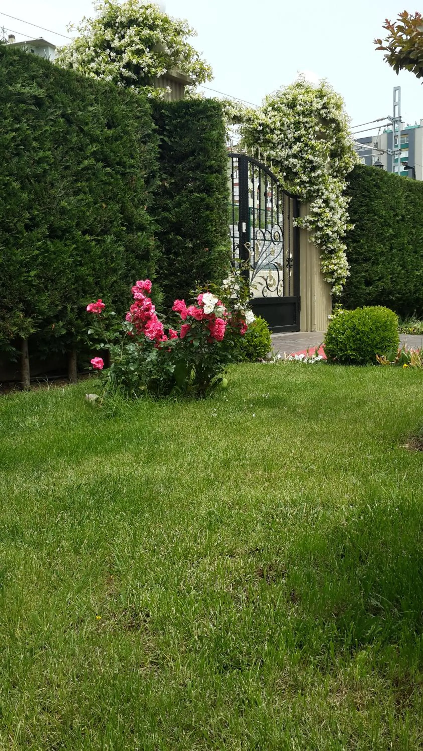 Garden in Pendik Marine Hotel