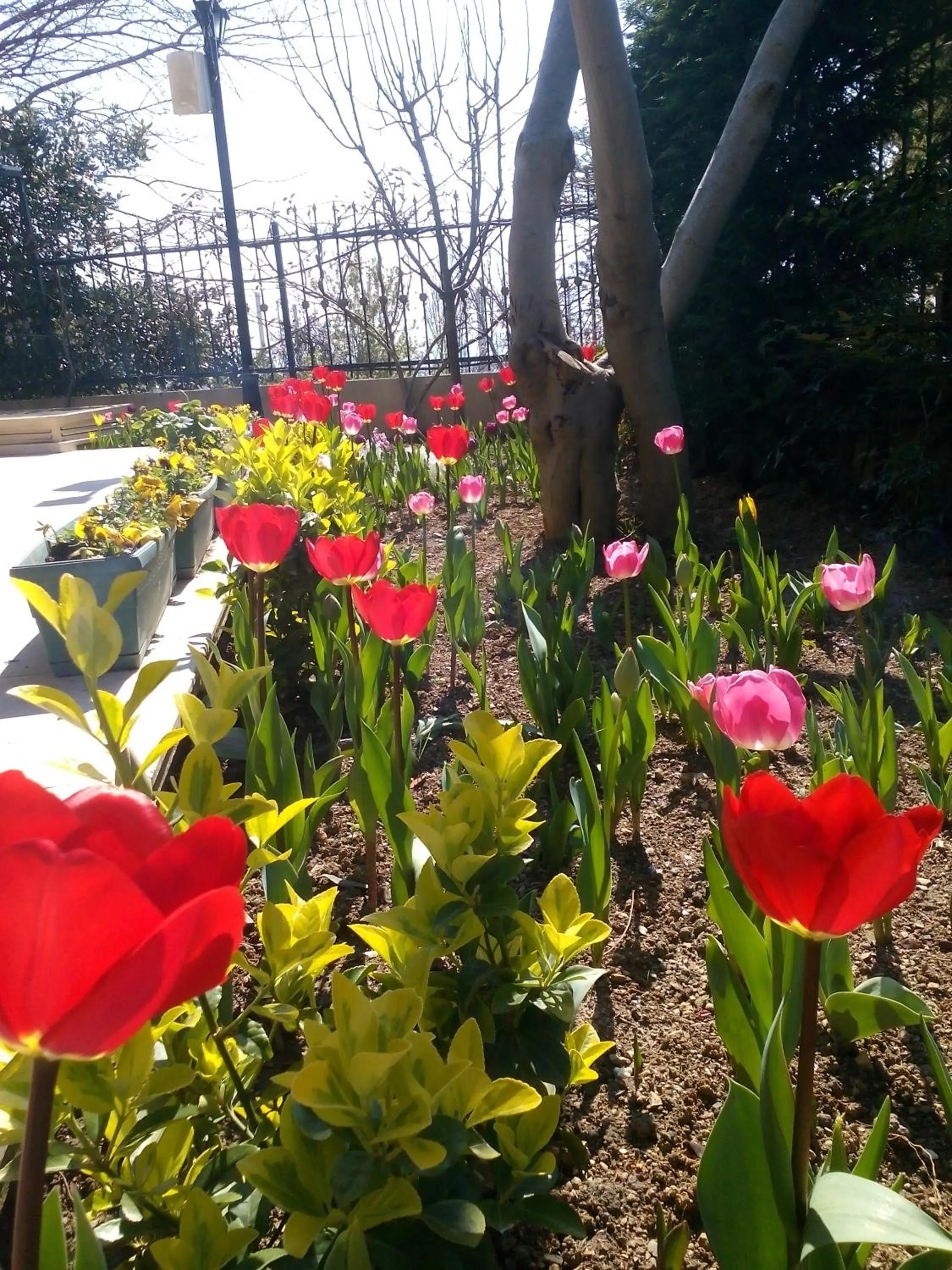 Garden in Pendik Marine Hotel