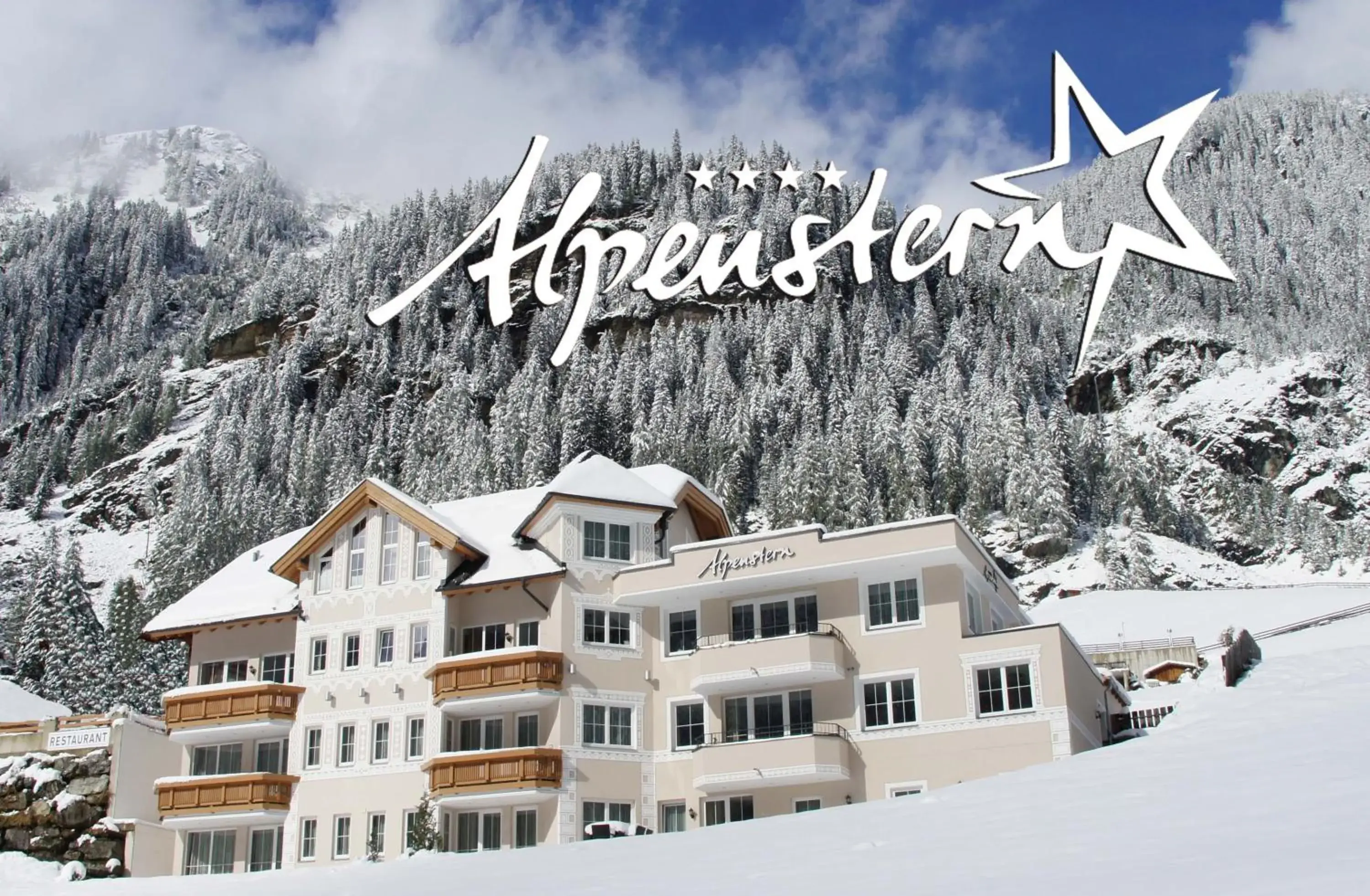 Property building, Winter in Alpenstern