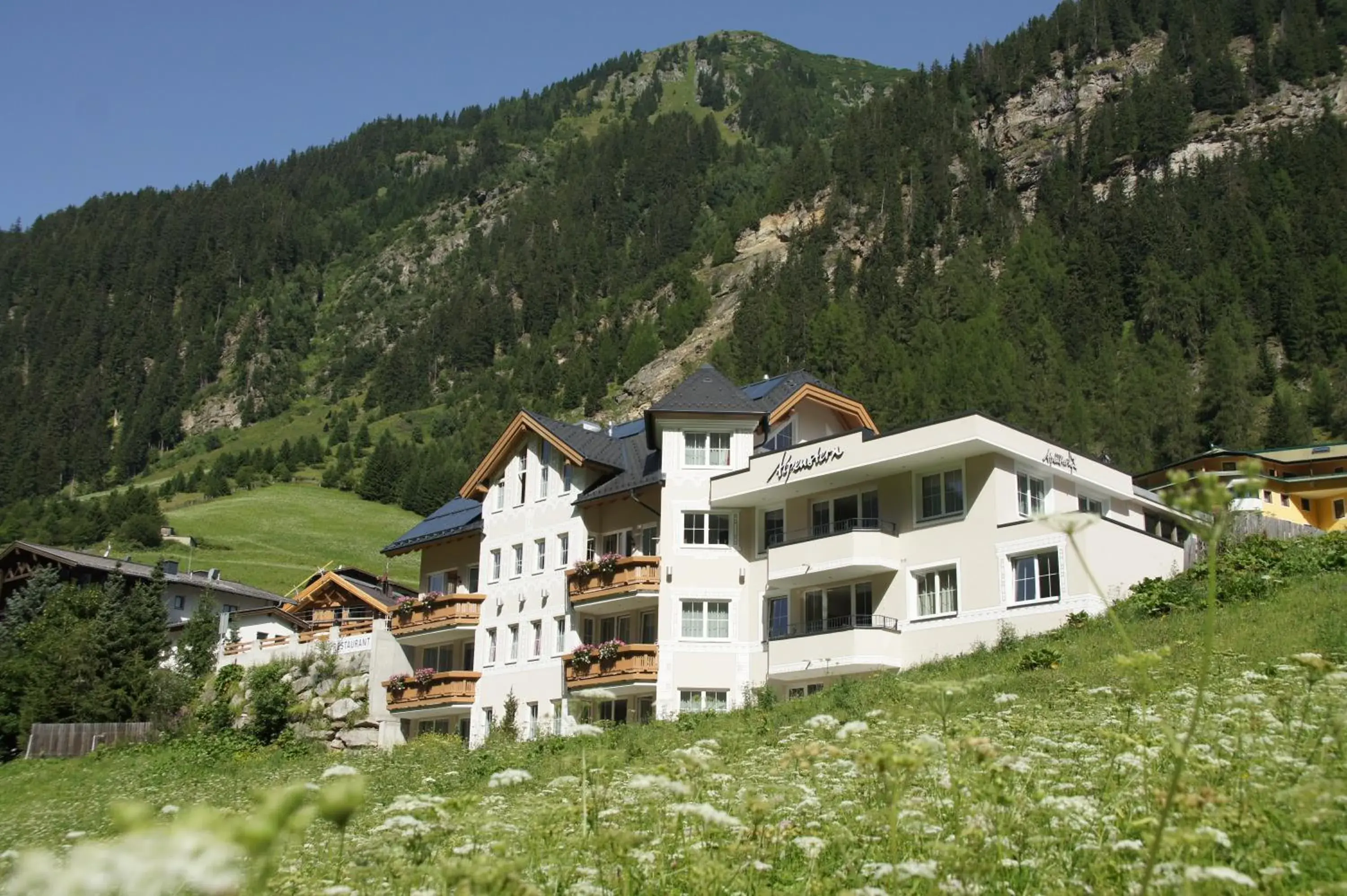 Summer, Property Building in Alpenstern