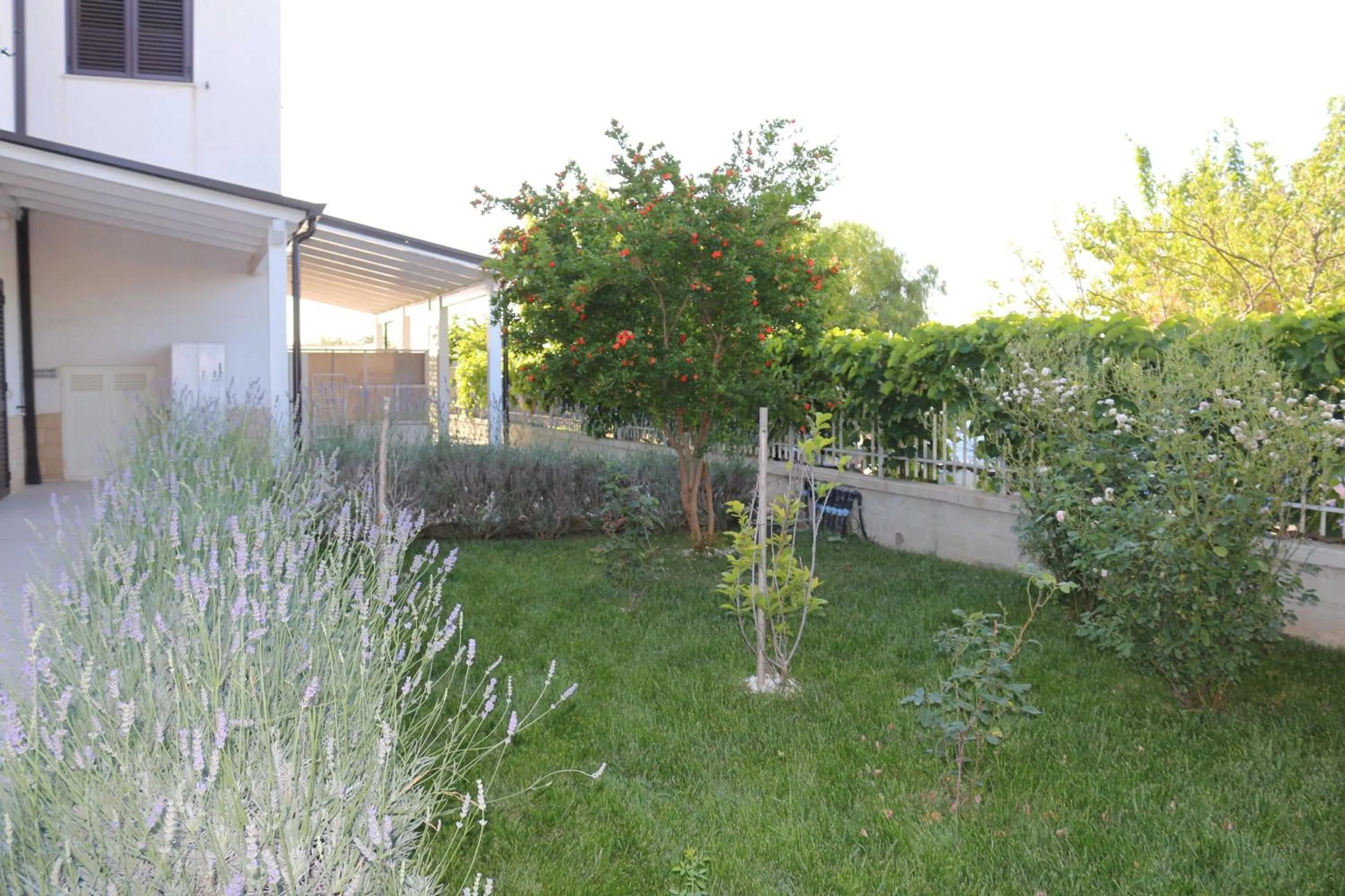 Property building in All'ombra del Carrubo - Metaponto