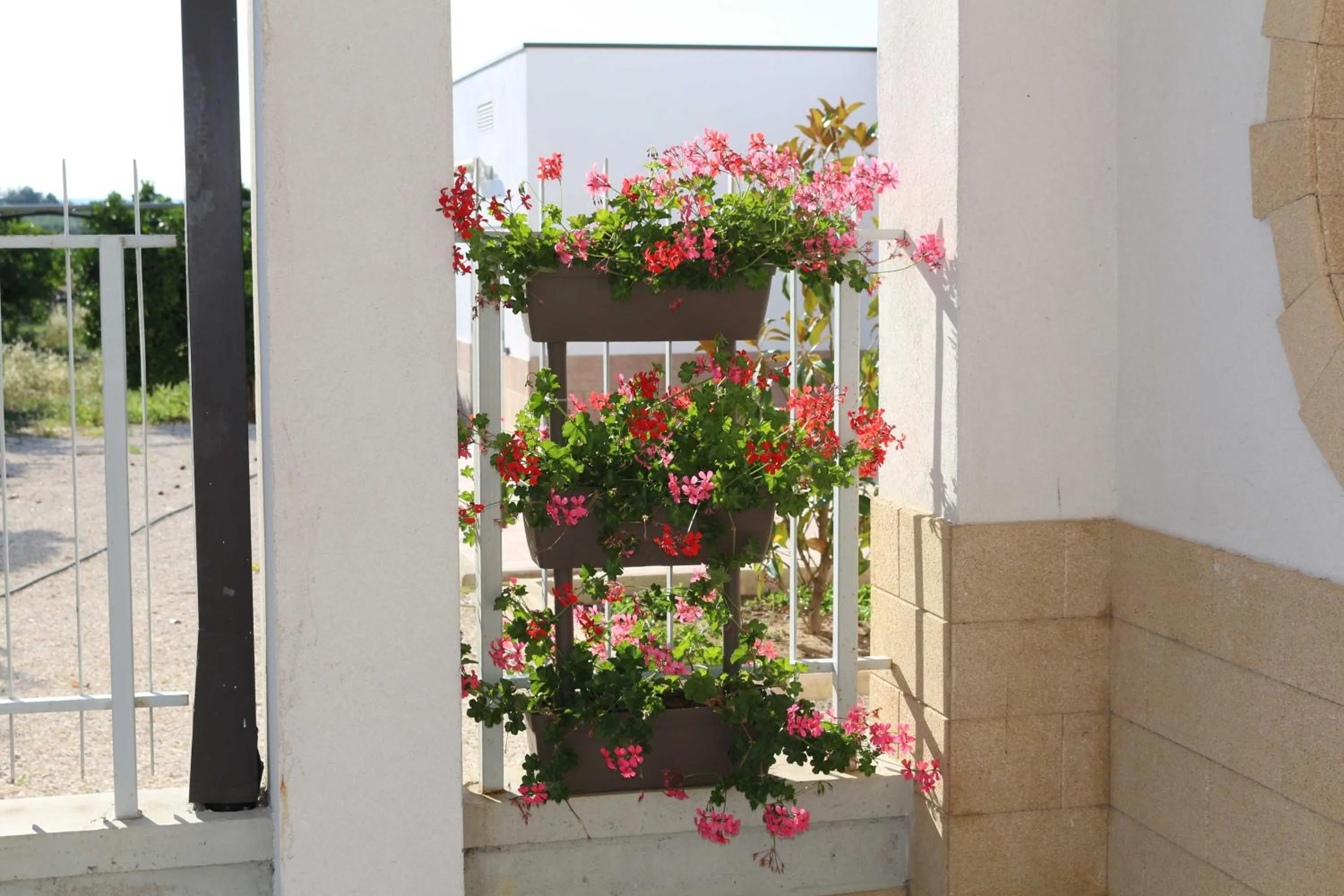 Facade/entrance in All'ombra del Carrubo - Metaponto