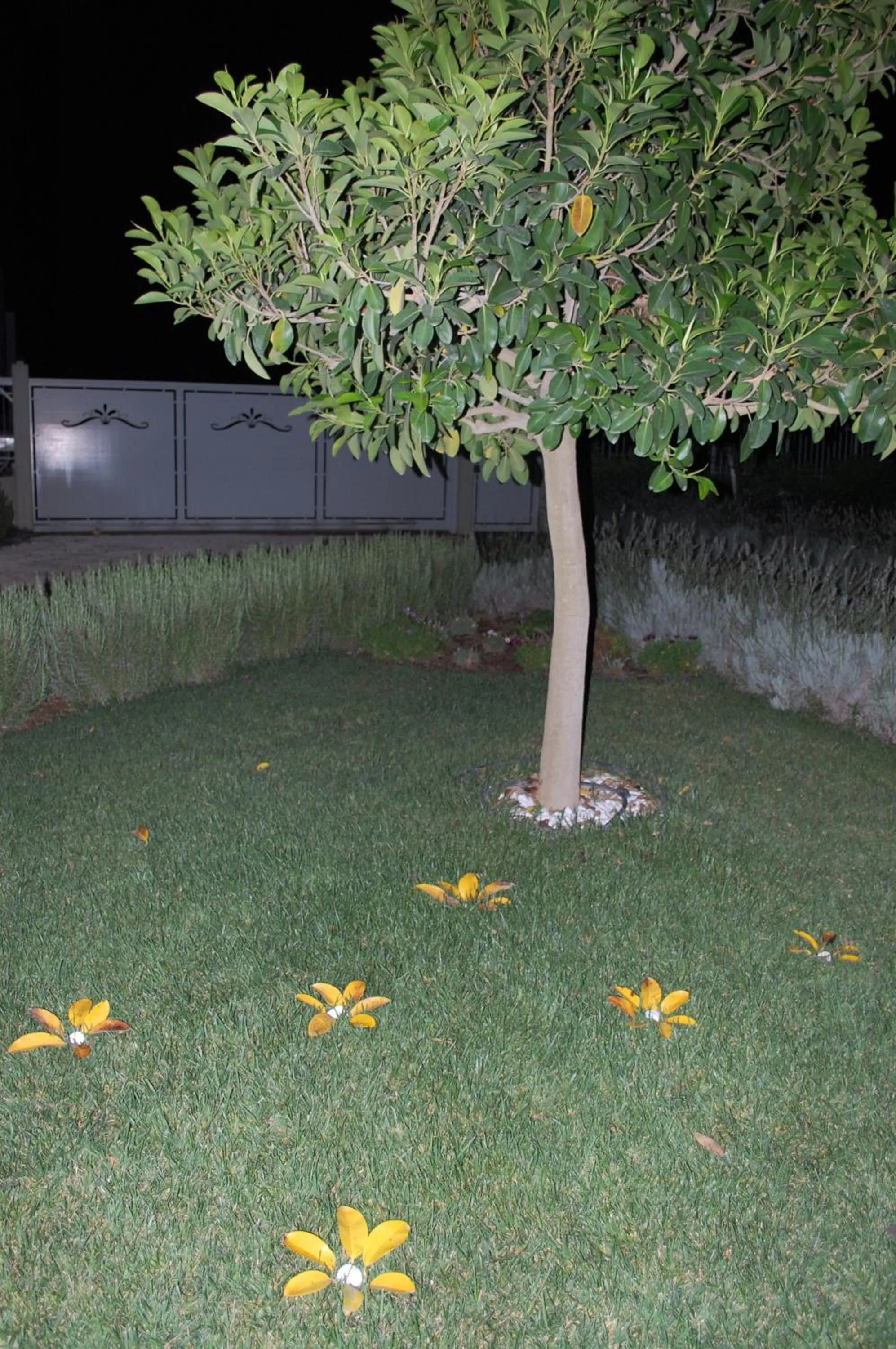 Garden in All'ombra del Carrubo - Metaponto