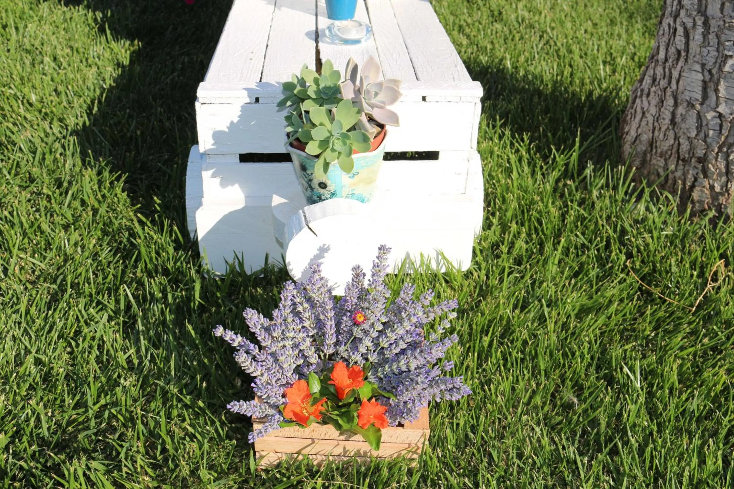 Garden in All'ombra del Carrubo - Metaponto