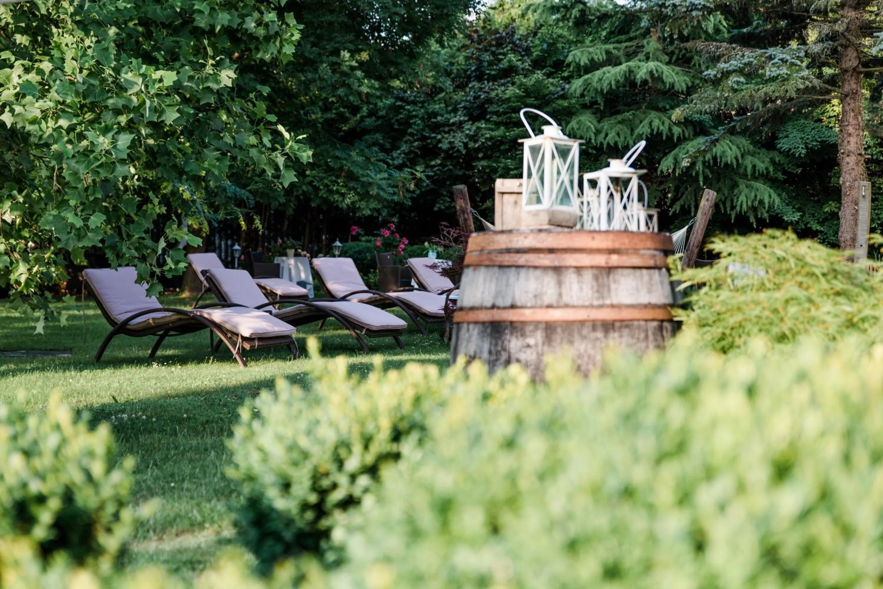 Garden view in Hotel St. Hubertushof