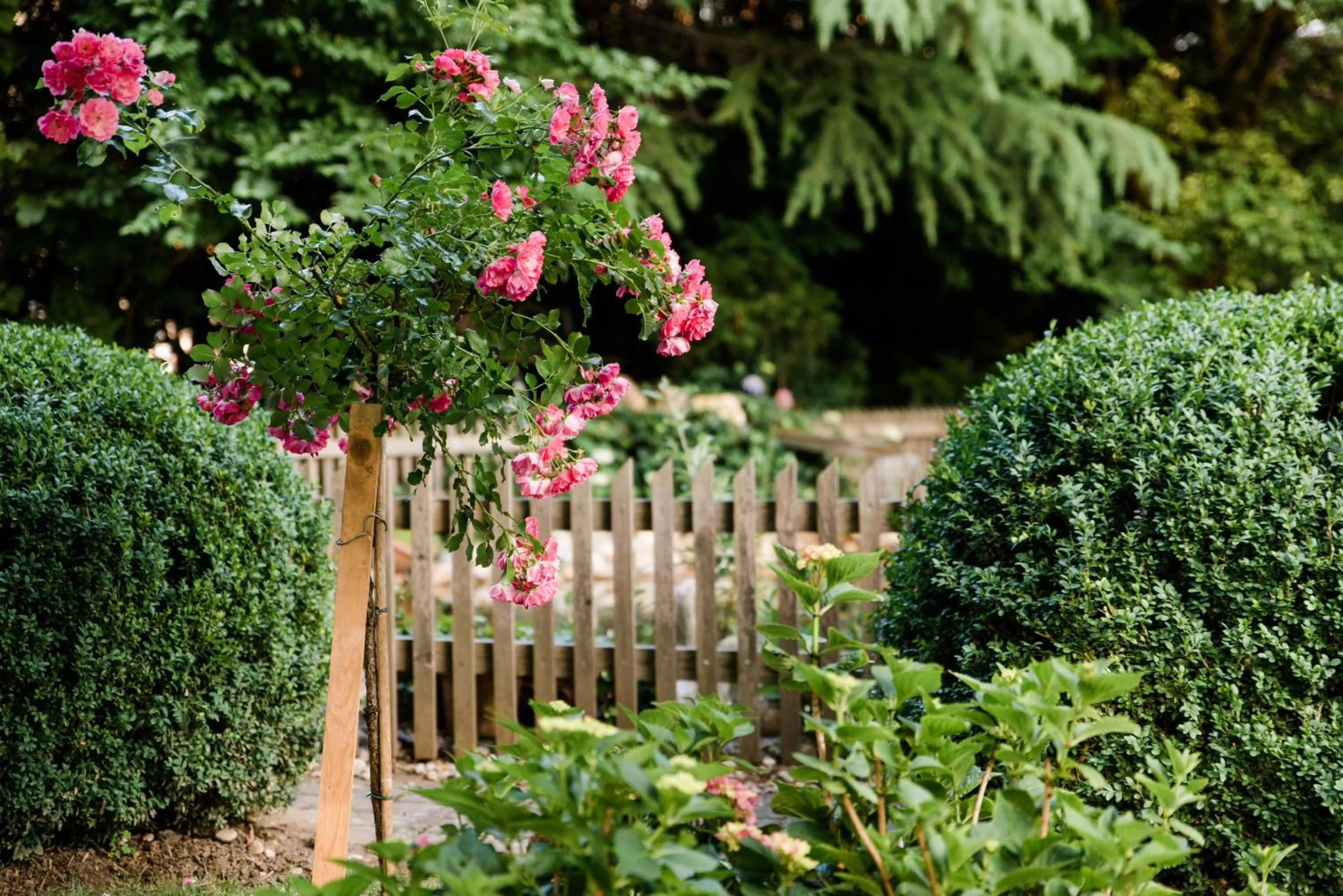 Garden in Hotel St. Hubertushof
