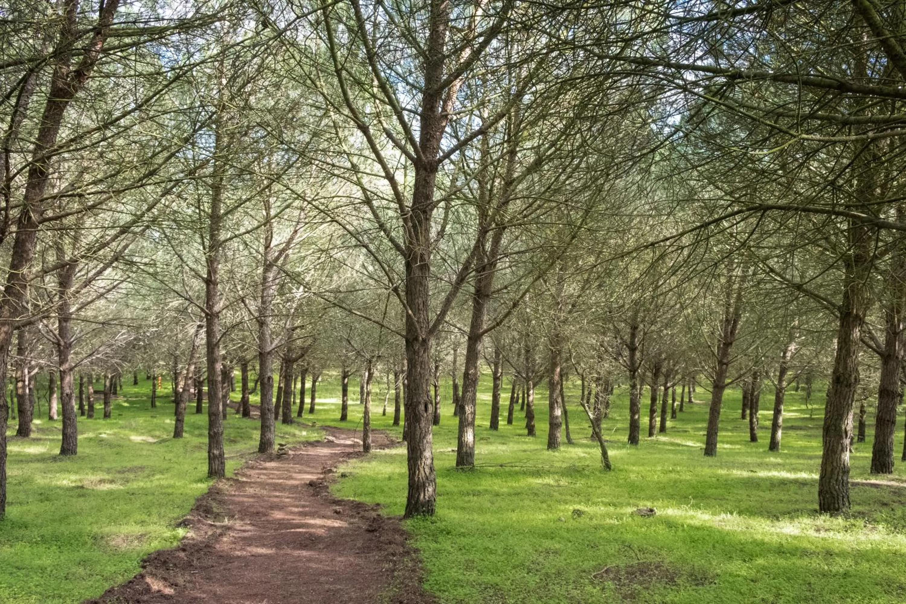 Off site in Quinta dos Machados Countryside Hotel & Spa