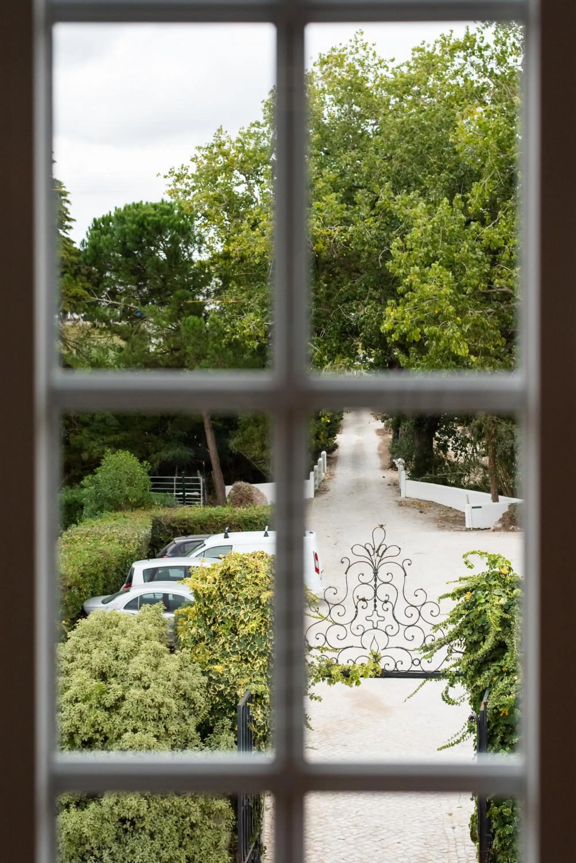 Natural landscape in DOMA Portugal