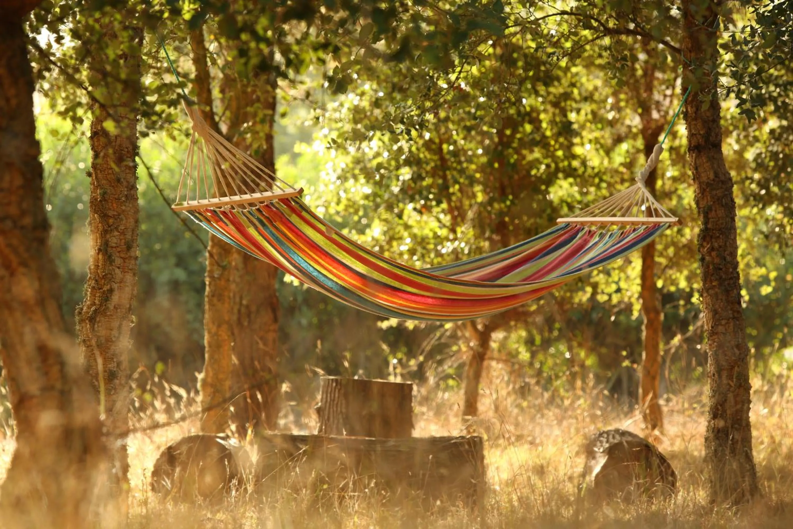 Facade/entrance in Quinta dos Machados Countryside Hotel & Spa