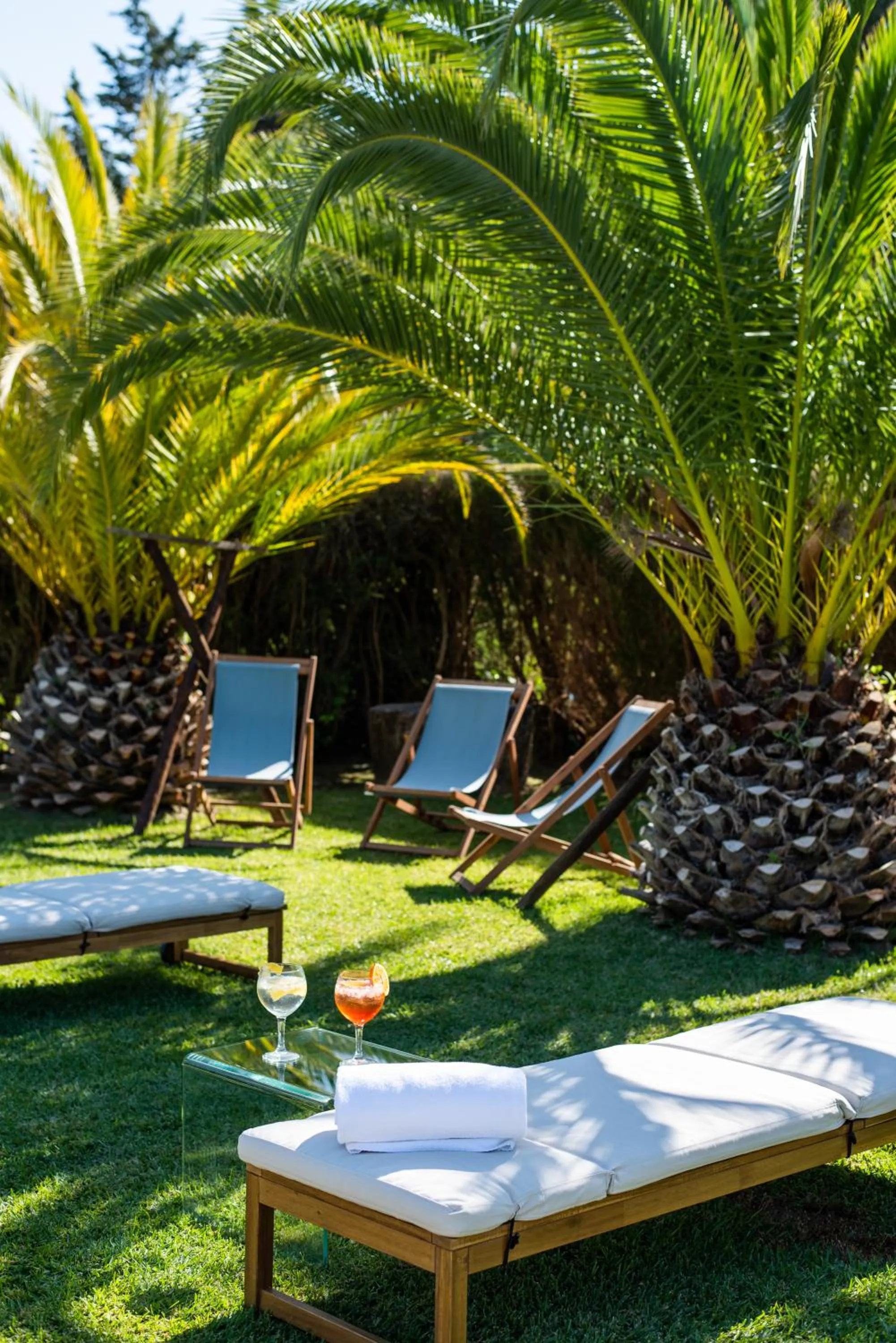 Day in DOMA Portugal