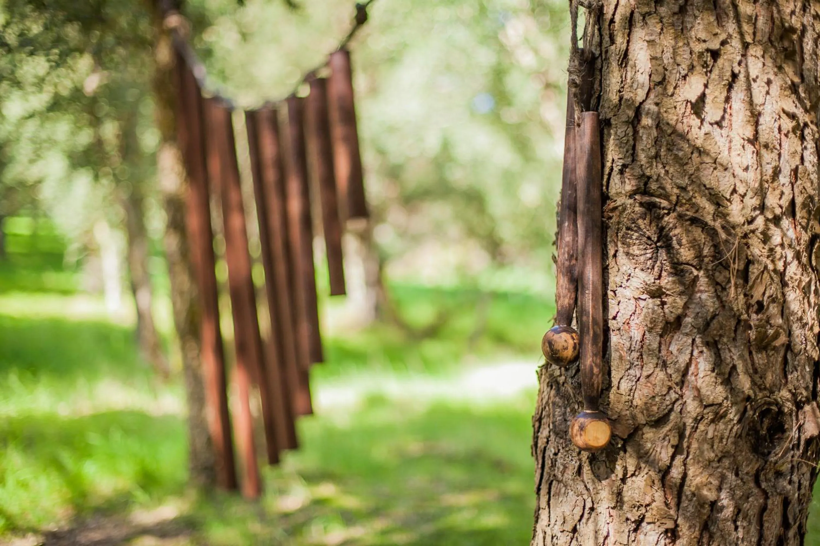 Spring in Quinta dos Machados Countryside Hotel & Spa