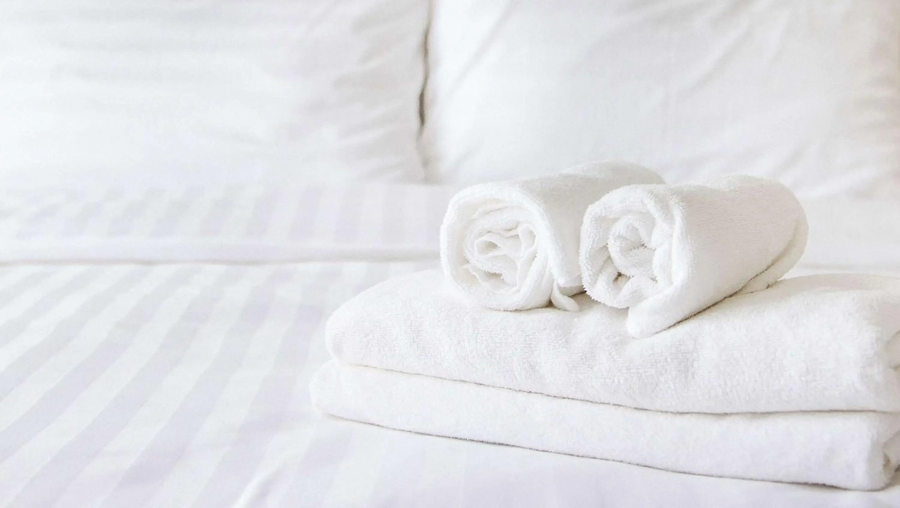 Photo of the whole room, Bed in Magnuson Hotel Virginia Beach