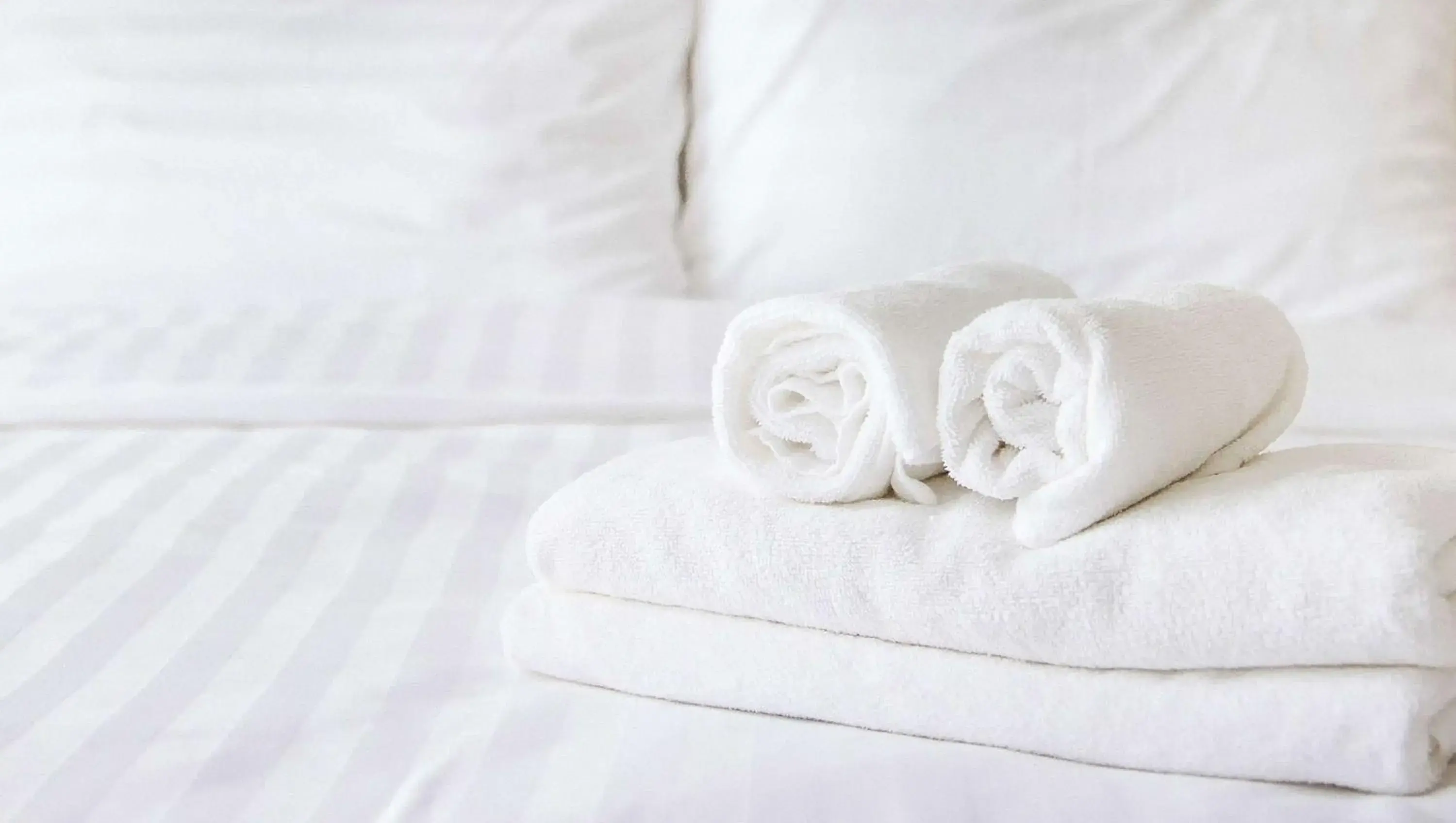 Photo of the whole room, Bed in Magnuson Hotel Virginia Beach Photo of the whole room, Bed in Magnuson Hotel Virginia Beach