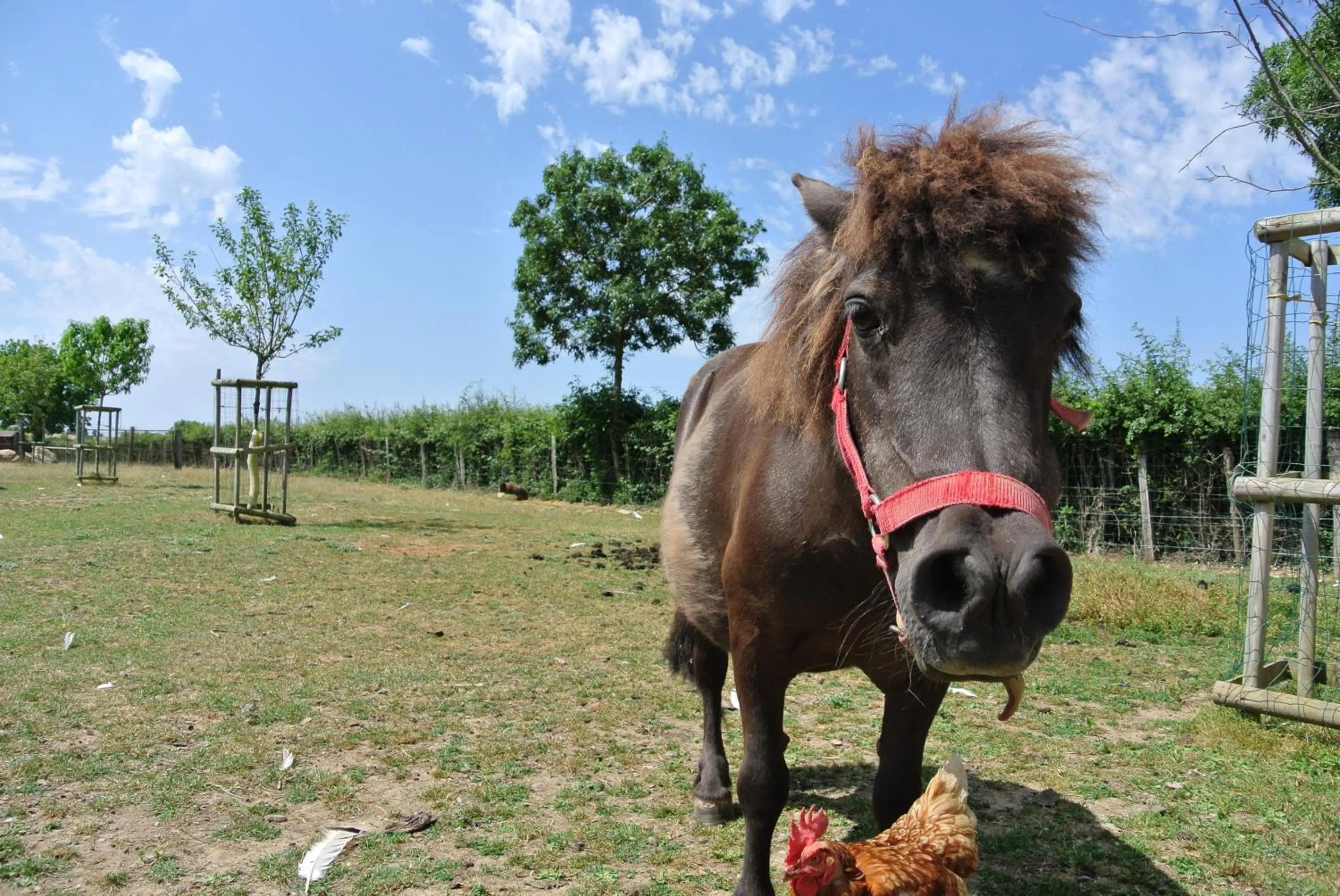 Chez Michel et Josette