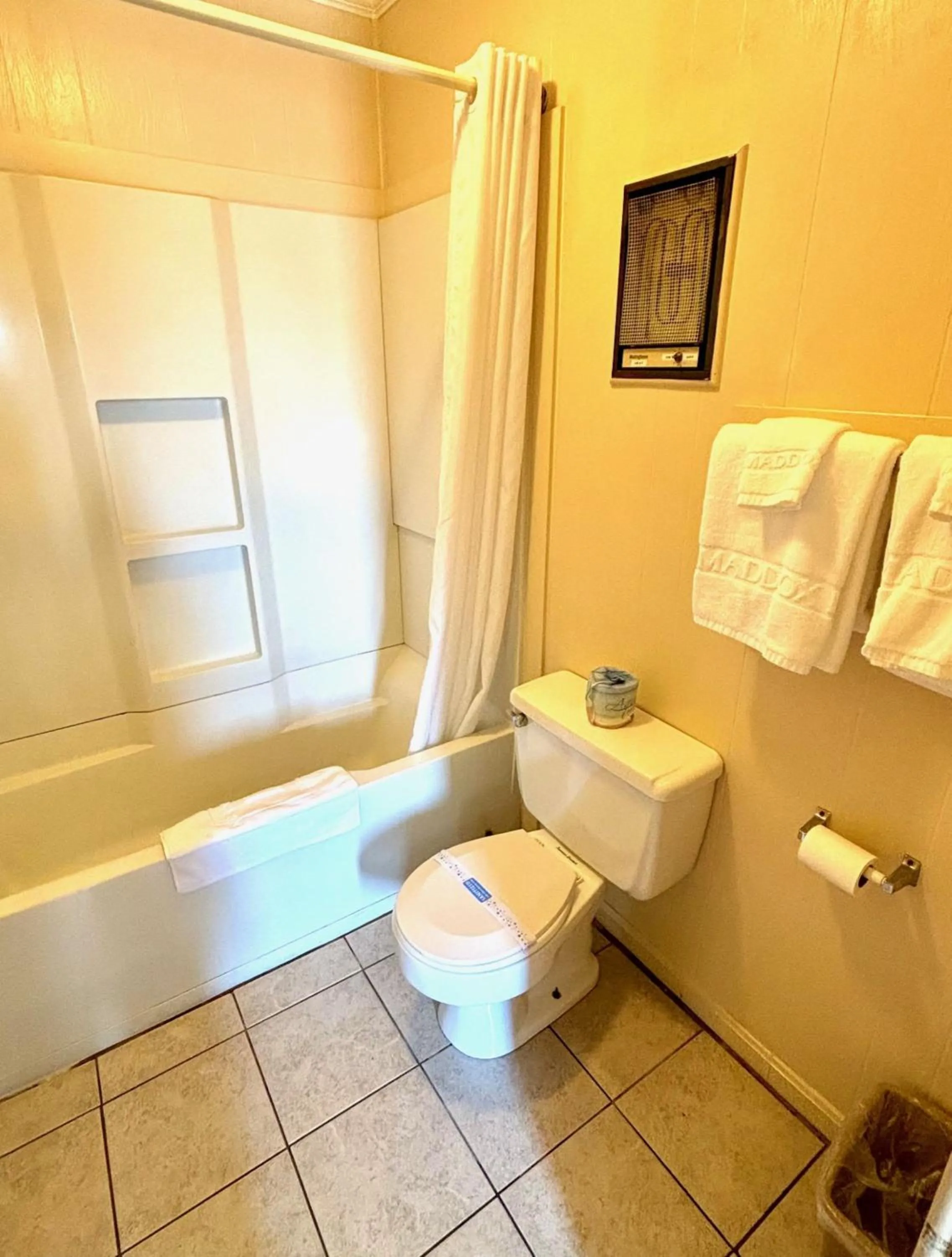 Bathroom in Americas Best Value Inn Chincoteague