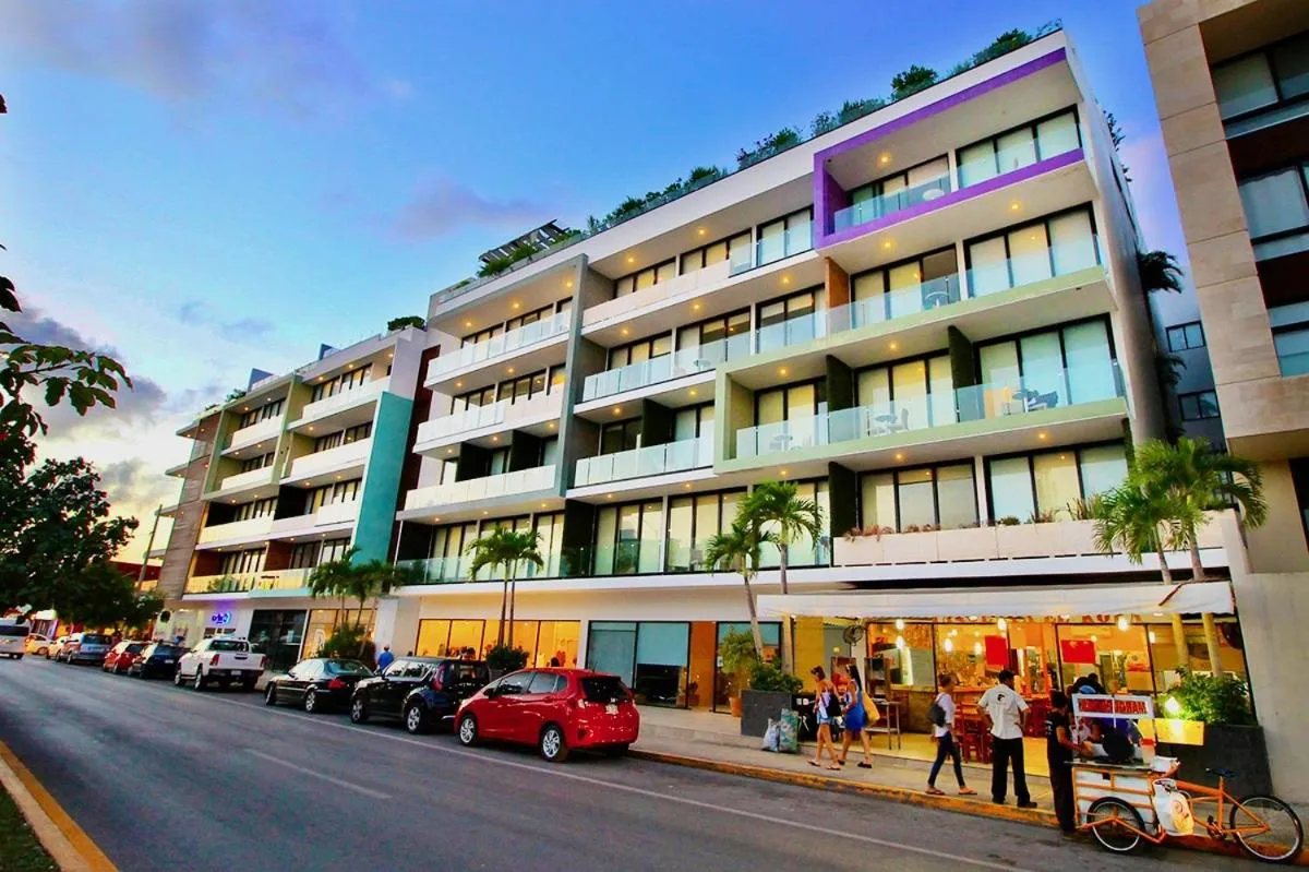 Property building in Menesse the City by Casago