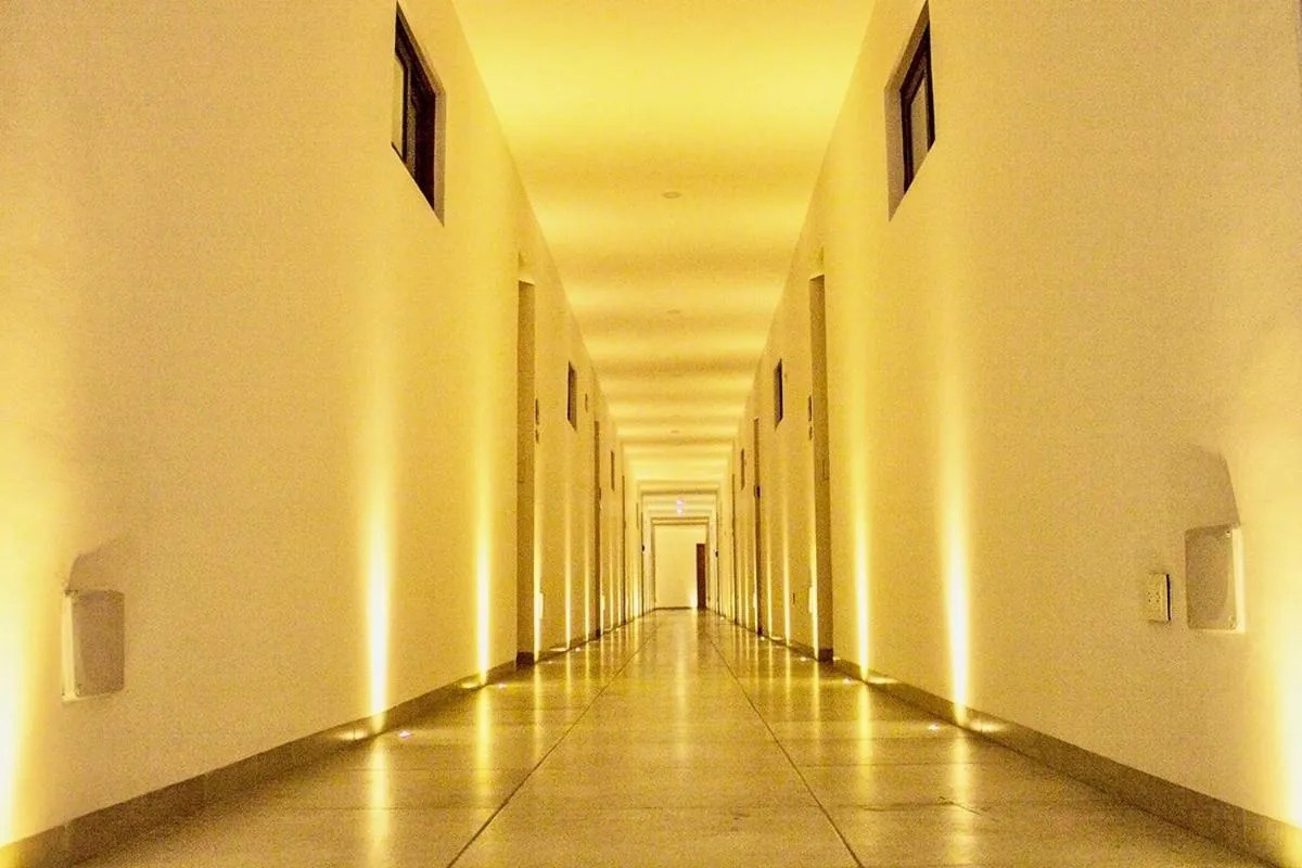 Property building in Menesse the City by Casago