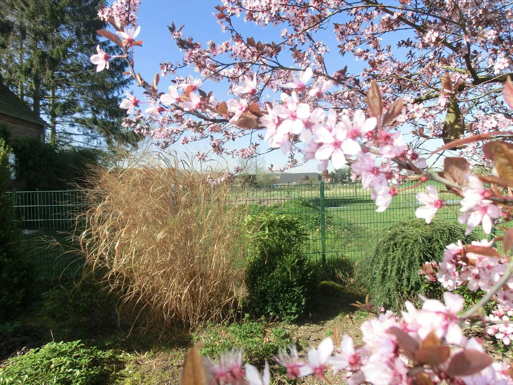 Garden in Hotel Haus Nachtigall - B&B