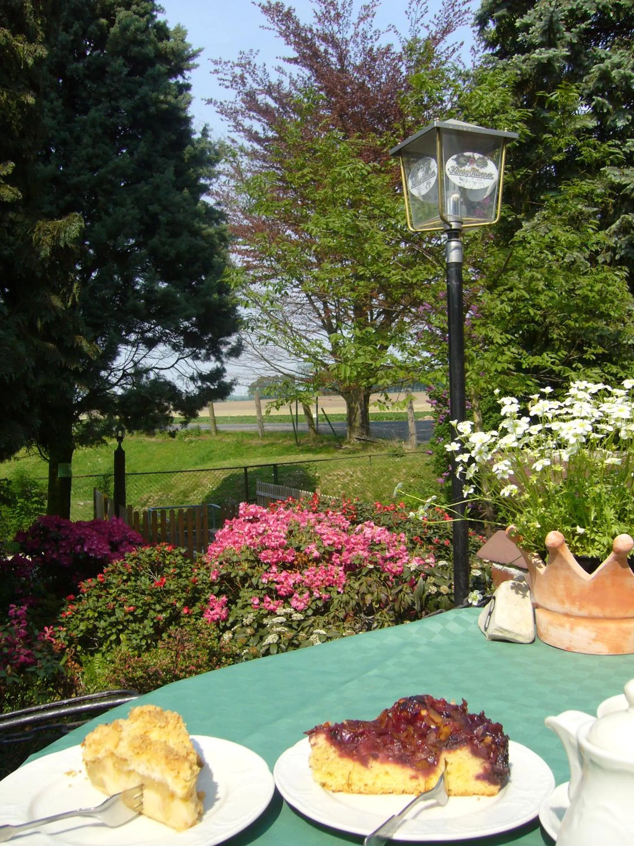 Garden view in Hotel Haus Nachtigall - B&B