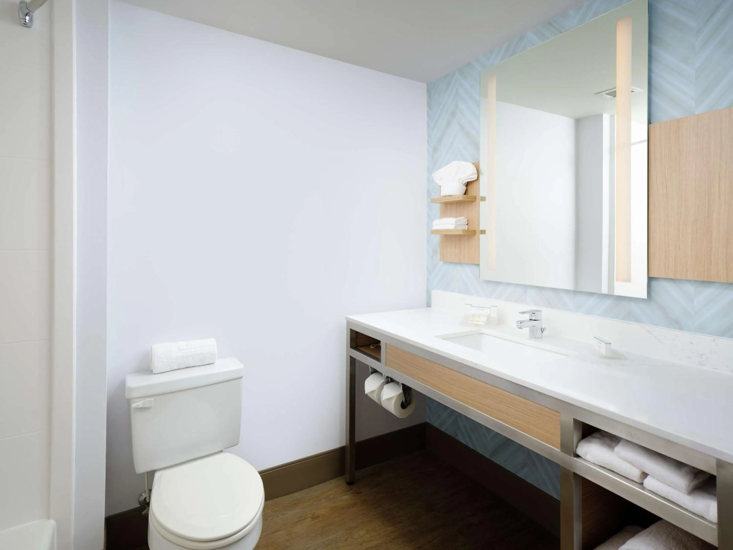 Bathroom in Hilton Garden Inn Atlanta NW/Kennesaw-Town Center